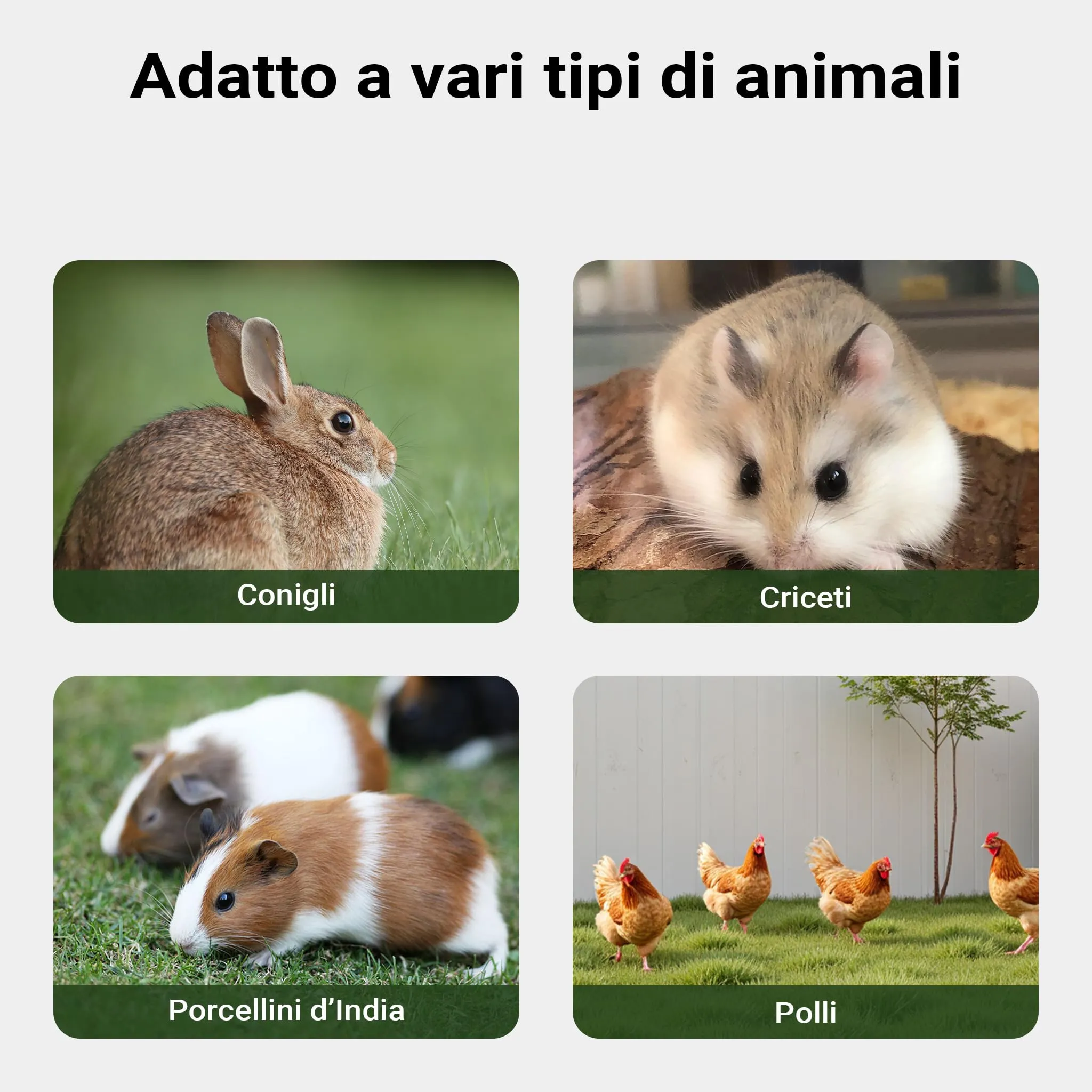 Conigliera triangolare con 2 porte e recinto esterno, per conigli lepri piccoli animali - immagine 8