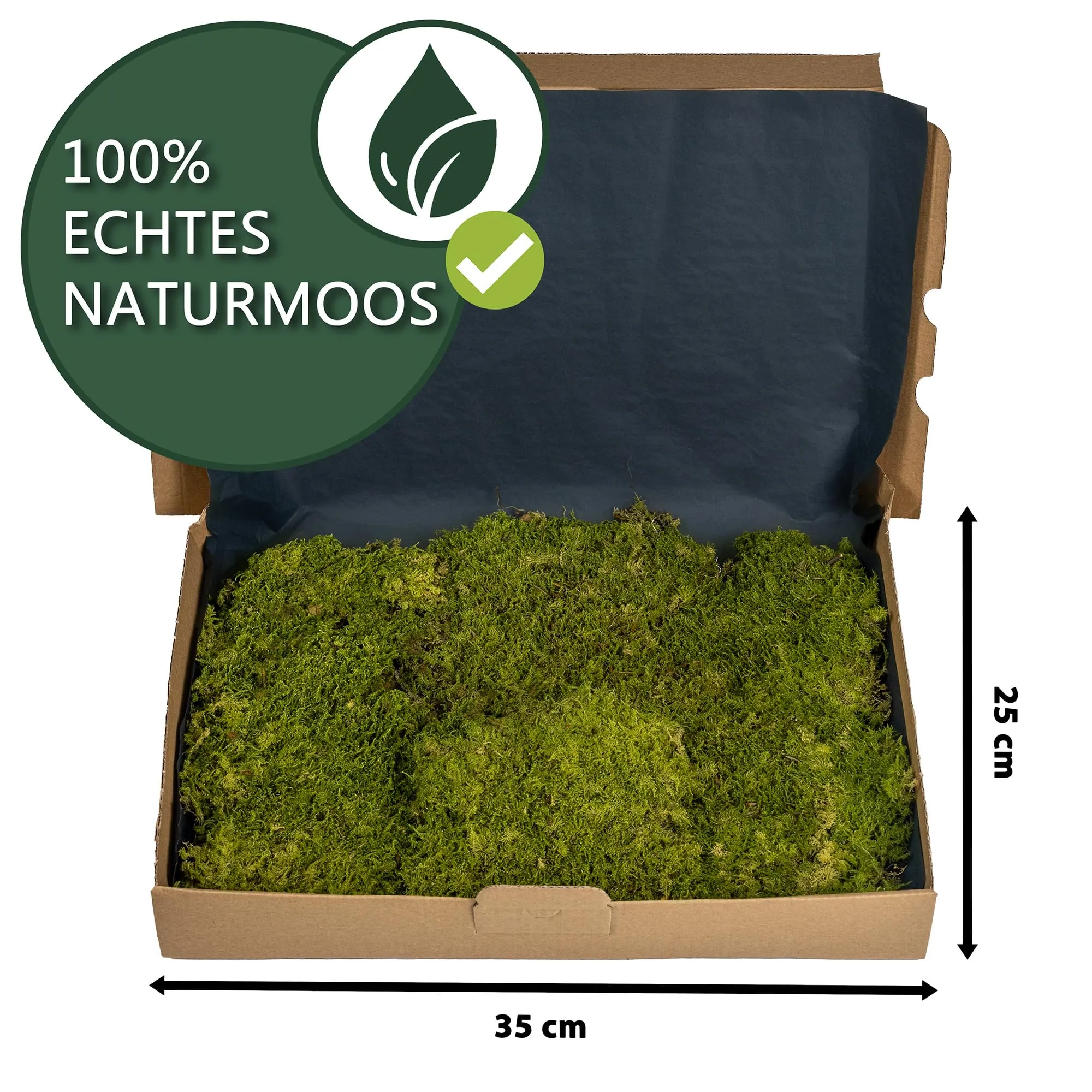 Moos Design | Muschio per terrario per rettili e Anfibi | Ideale per terrari bioattivi | Substrato per terrario, Muschio Naturale per Fondo - immagine 2