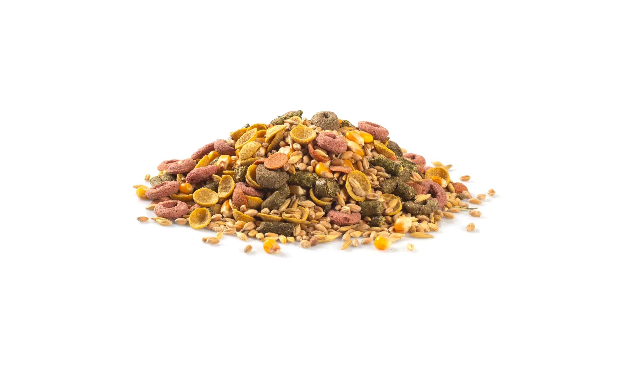 STANDARD GUINEA PIG 500g - alimento completo per porcellini d'India - immagine 2