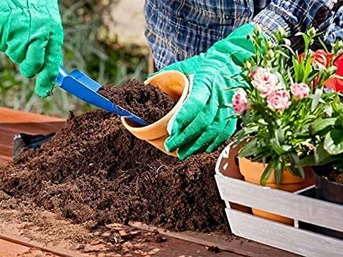 AlmaStore FIBRA DI COCCO 5 KG (1 X 5 Kg) | 70 LT | 100% Naturale | Substrato per terraio tartarughe o rettili | circa 5 kg/PZ | Blocchi per la coltivazione piante, fiori, ortaggi - immagine 2