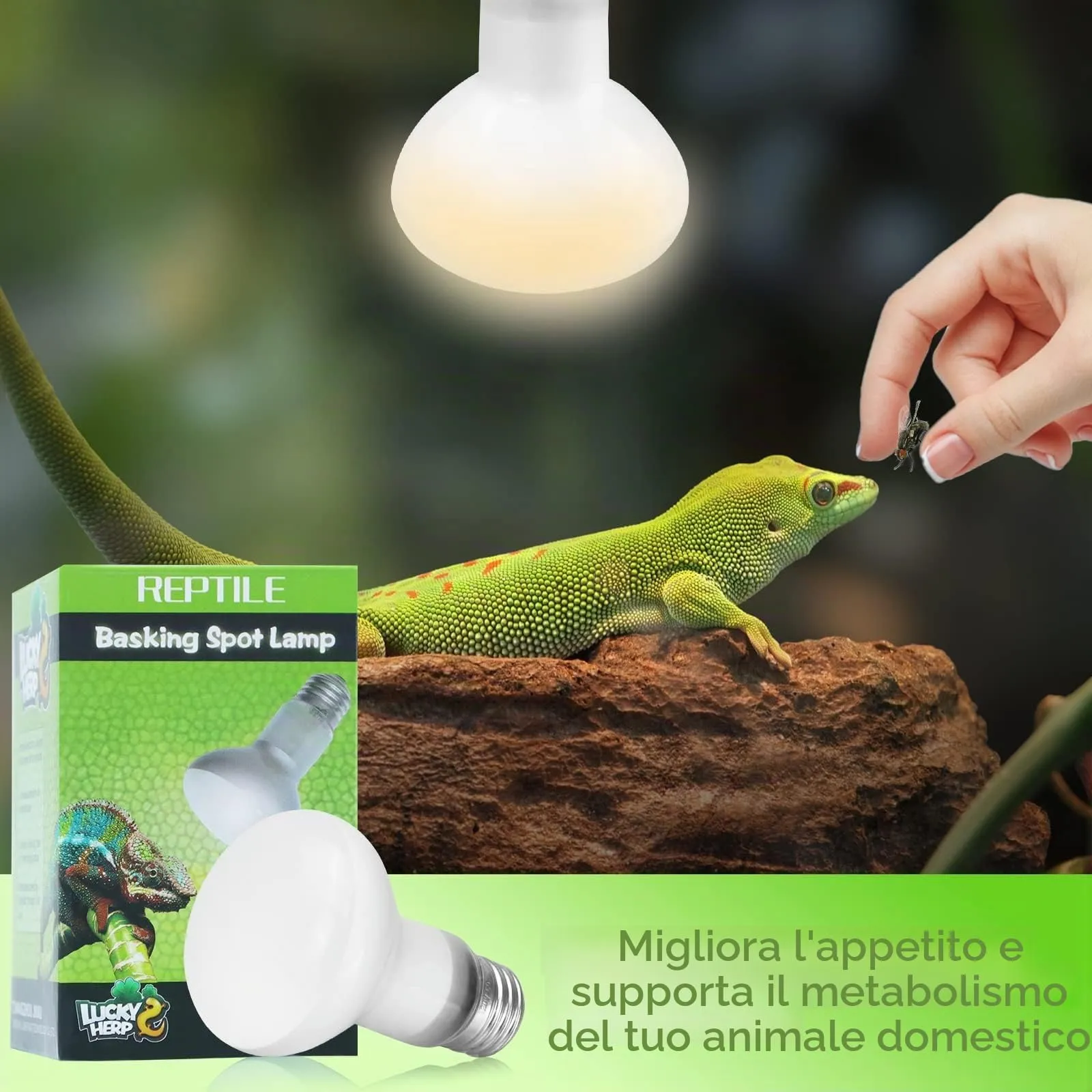 LUCKY HERP Confezione da 2 lampade per terrario, 100 W per rettili, lampada da sole, anfibi, luce diurna, per tartarughe, barba, lucertola - immagine 4