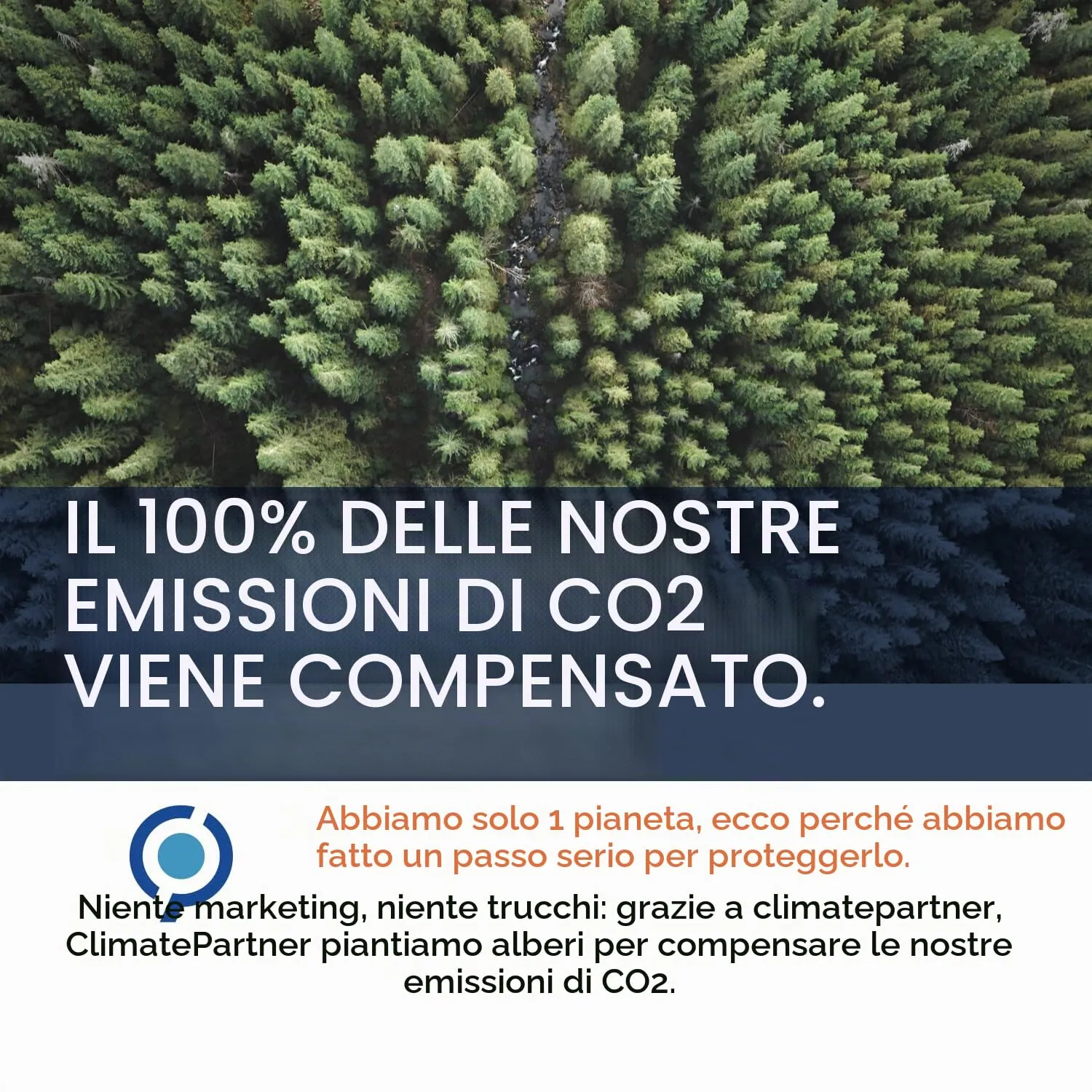 Argento Colloidale Puro 40 PPM 250 ml | Più potente di 20 PPM | 100% Naturale | Per l'Uomo e gli Animali (Cane, Gatto) | Carbon Neutral (250 ml) - immagine 6