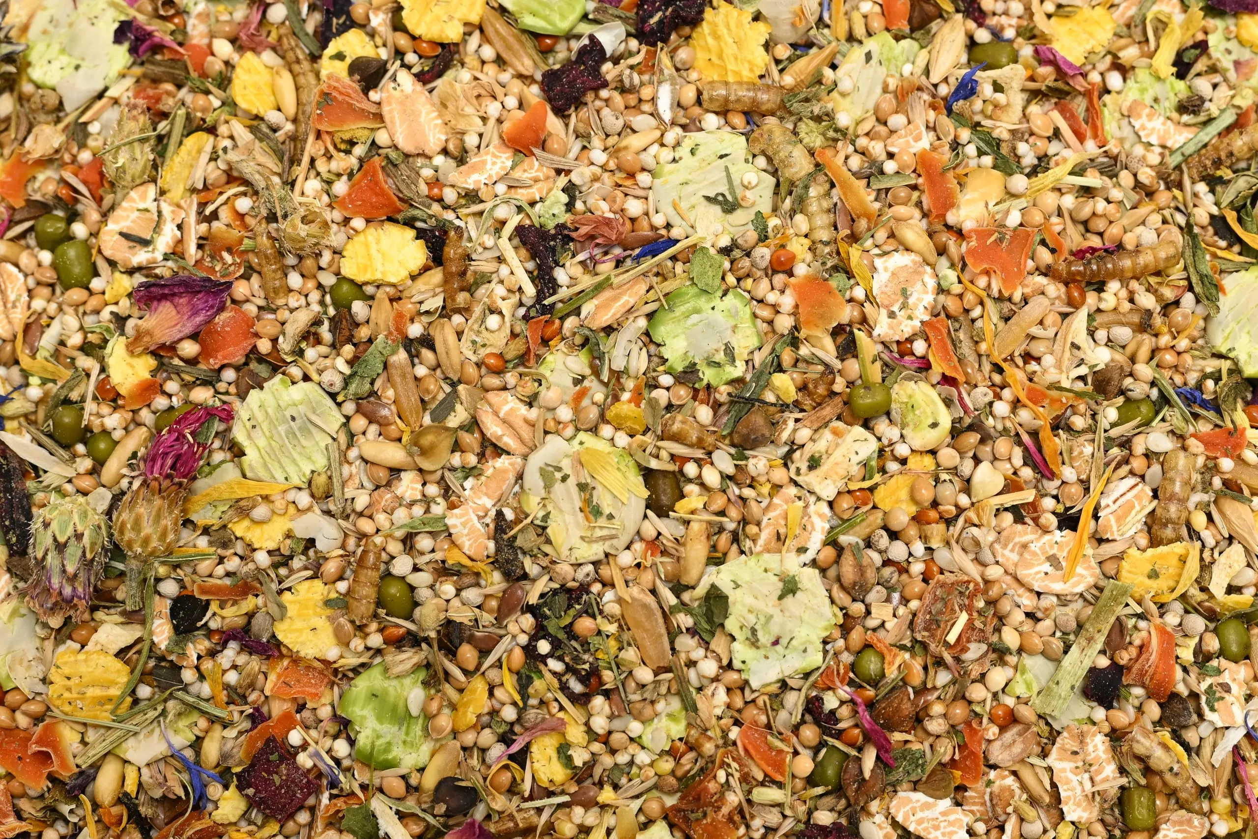 Bunny Nature Dwarfhamster Dream Expert Flower – Piatto naturale superfood con miscela di fiori, cereali, verdure e vermi – Nutrizione equilibrata - immagine 7