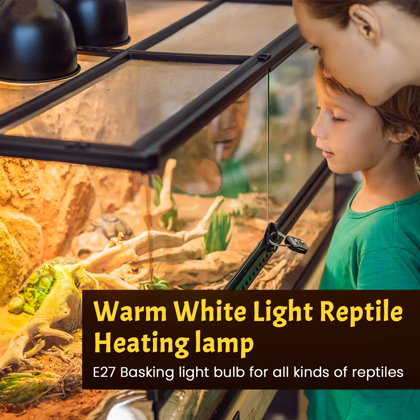 Bonlux Lampadina E27 UVA UVB 50W Lampada Riscaldante Tartarughe di terra, Lampada UV Tartarughe d'acqua, Lampadine Acquario Lampade Riscaldanti per Rettili, Animali, Pulcini (Dimmerabile, 2 Pezzi) - immagine 5