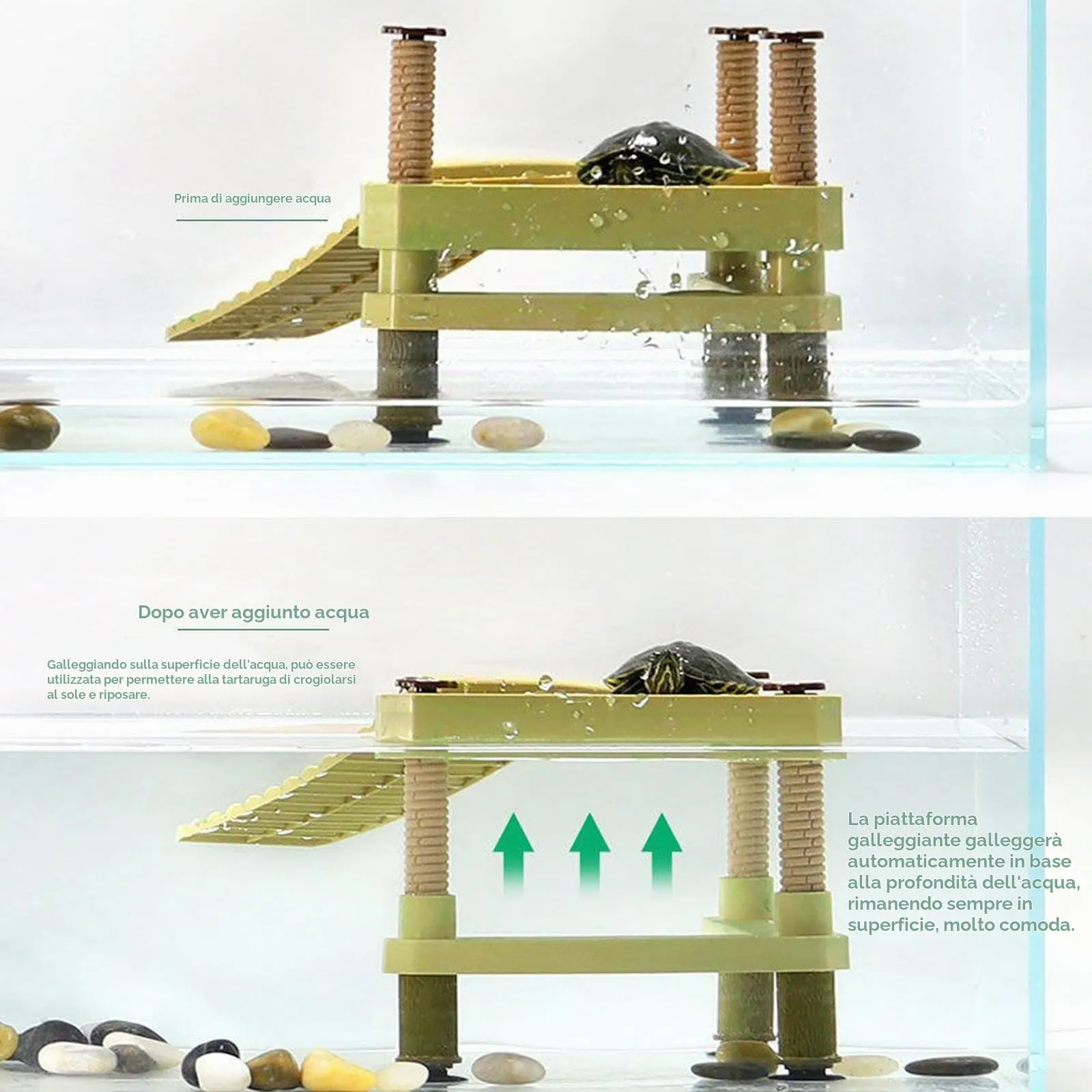 QeeHeng Piattaforma Galleggiante per Tartarughe, Piattaforma Galleggiante per Crogiolarsi, Piattaforma per Crogiolarsi per Tartarughe con Scala, Habitat per Tartarughe, Accessori per Acquari (Media) - immagine 3