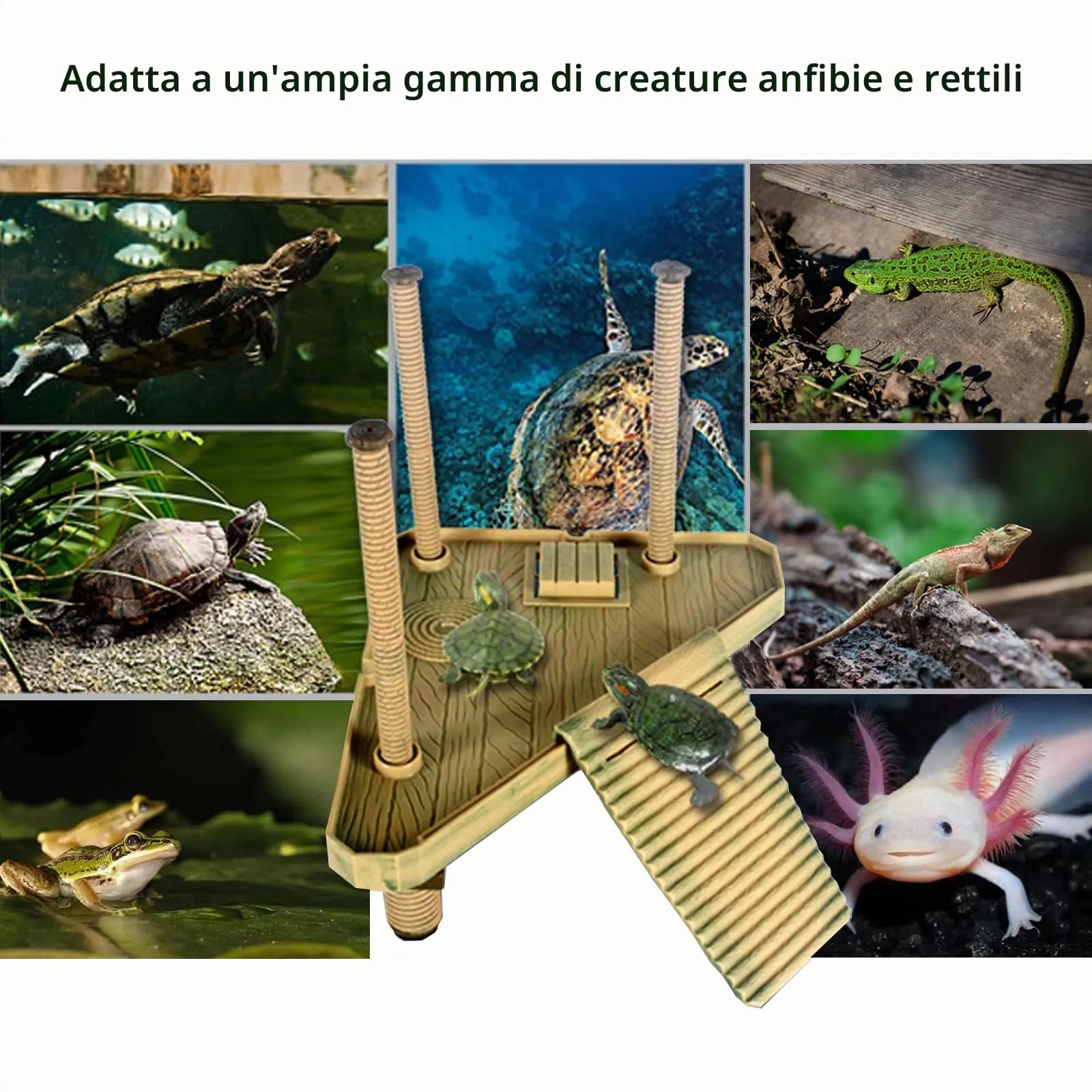 QeeHeng Piattaforma Galleggiante per Tartarughe, Piattaforma Galleggiante per Crogiolarsi, Piattaforma per Crogiolarsi per Tartarughe con Scala, Habitat per Tartarughe, Accessori per Acquari (Media) - immagine 7