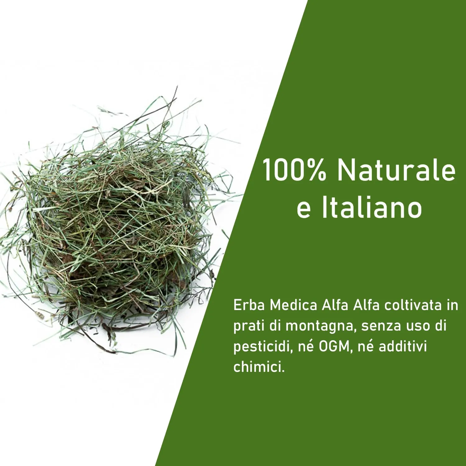 Erba Medica (Alfalfa) 1kg | Fieno Naturale di Erba Medica | Ricco di Fibre, Proteine e Calcio | Ideale per Conigli, Cavie, Piccoli Roditori e Cavalli | Crescita, Gestazione, Appetibilità - immagine 2