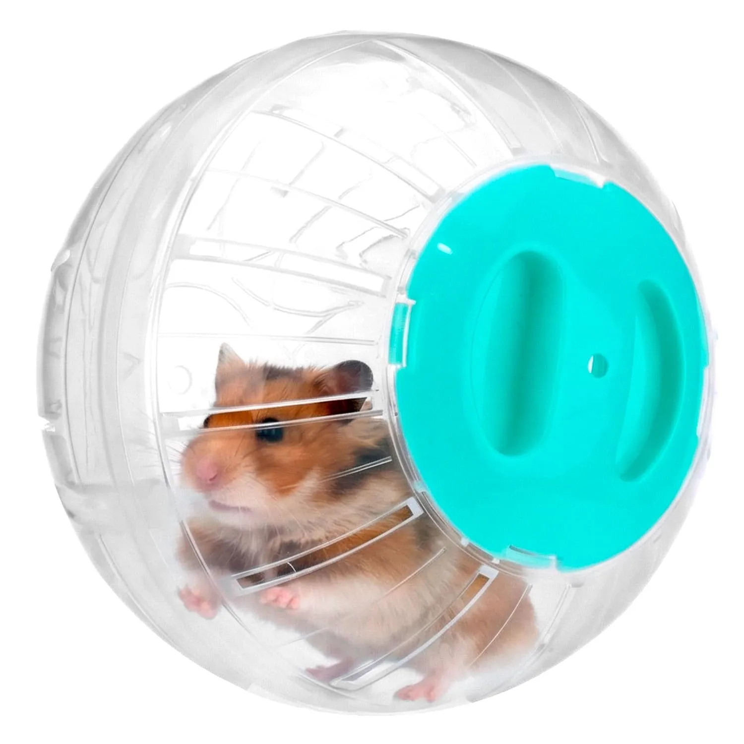 QWORK® Palla per Criceti 14,5cm, Ruota Criceto Trasparente con Coperchio Azzurro, per Criceti Nani, Gerbilli e Piccoli Roditori - immagine 1
