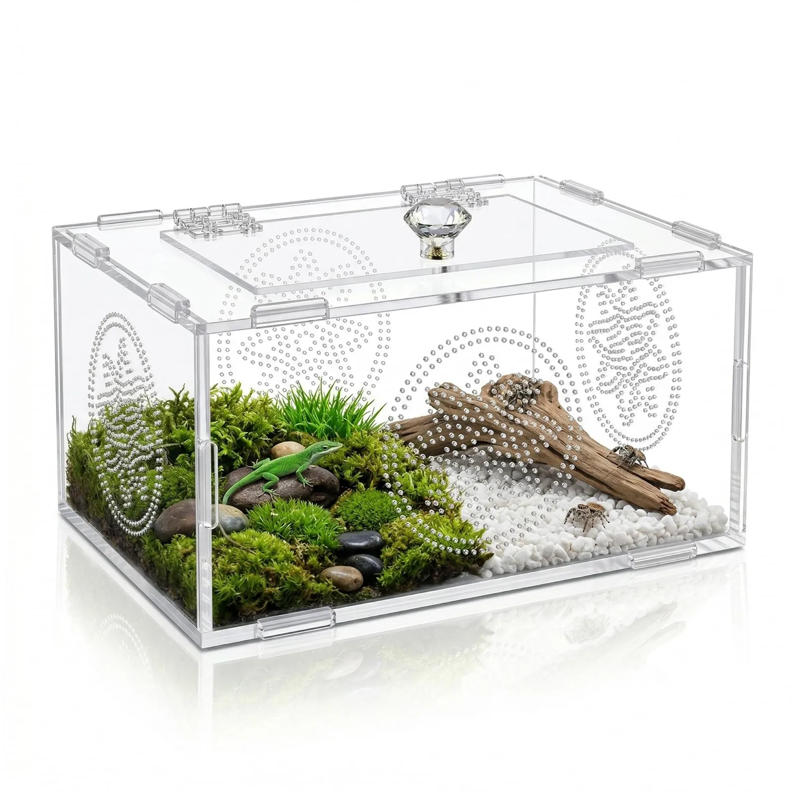 Terrario per Rettili, Terrario Tartarughe Terra, Terrario Trasparente Universale per Ragni, Lucertole, Rane, Coleotteri e Altri Rettili E Insetti, 20 x 15 x 10 cm - immagine 1
