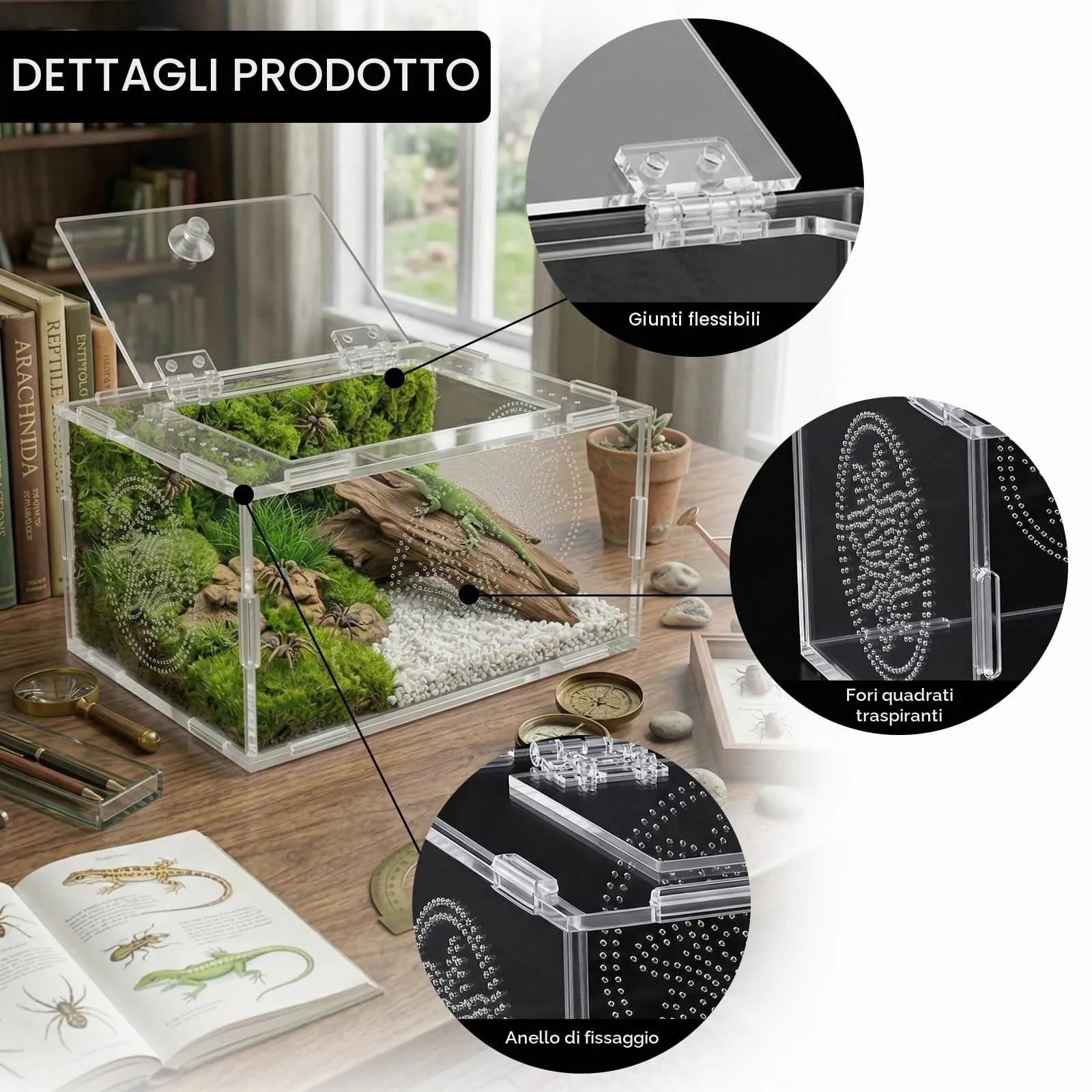 Terrario per Rettili, Terrario Tartarughe Terra, Terrario Trasparente Universale per Ragni, Lucertole, Rane, Coleotteri e Altri Rettili E Insetti, 20 x 15 x 10 cm - immagine 3
