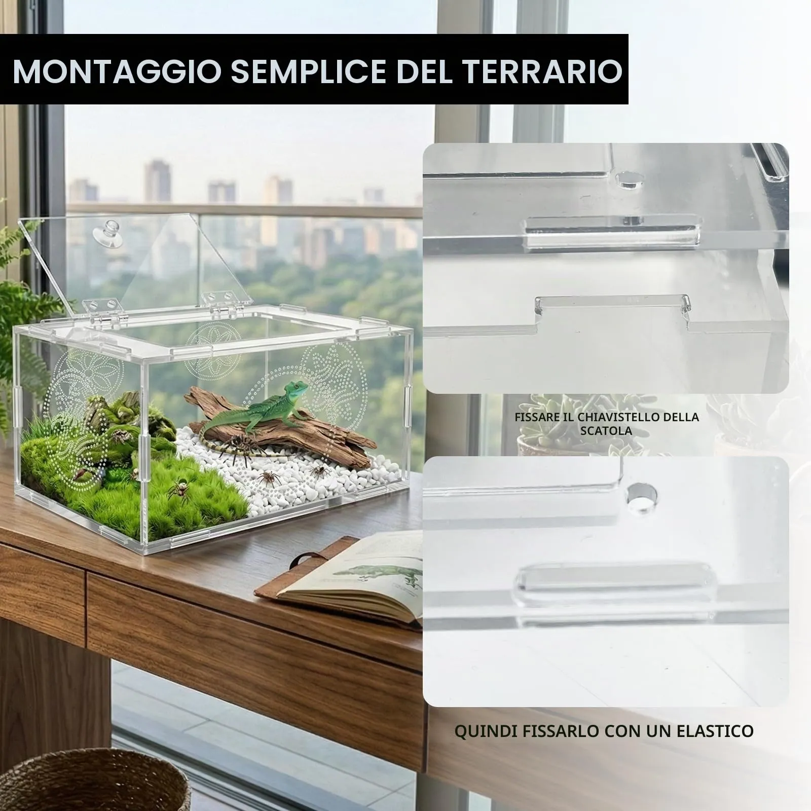 Terrario per Rettili, Terrario Tartarughe Terra, Terrario Trasparente Universale per Ragni, Lucertole, Rane, Coleotteri e Altri Rettili E Insetti, 20 x 15 x 10 cm - immagine 6