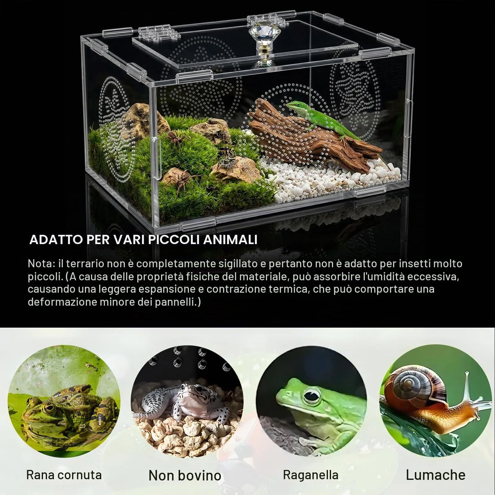 Terrario per Rettili, Terrario Tartarughe Terra, Terrario Trasparente Universale per Ragni, Lucertole, Rane, Coleotteri e Altri Rettili E Insetti, 20 x 15 x 10 cm - immagine 7