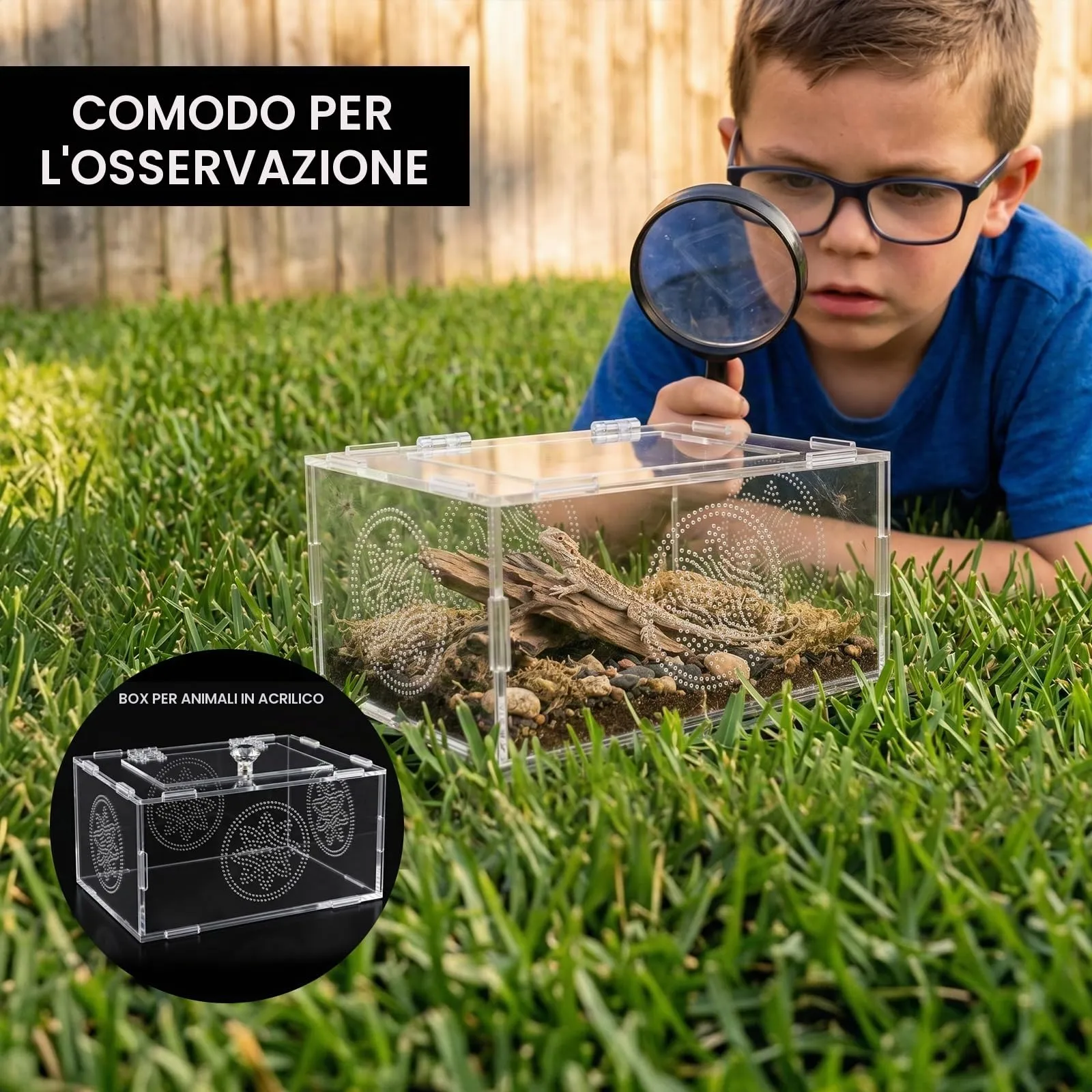 Terrario per Rettili, Terrario Tartarughe Terra, Terrario Trasparente Universale per Ragni, Lucertole, Rane, Coleotteri e Altri Rettili E Insetti, 20 x 15 x 10 cm - immagine 8