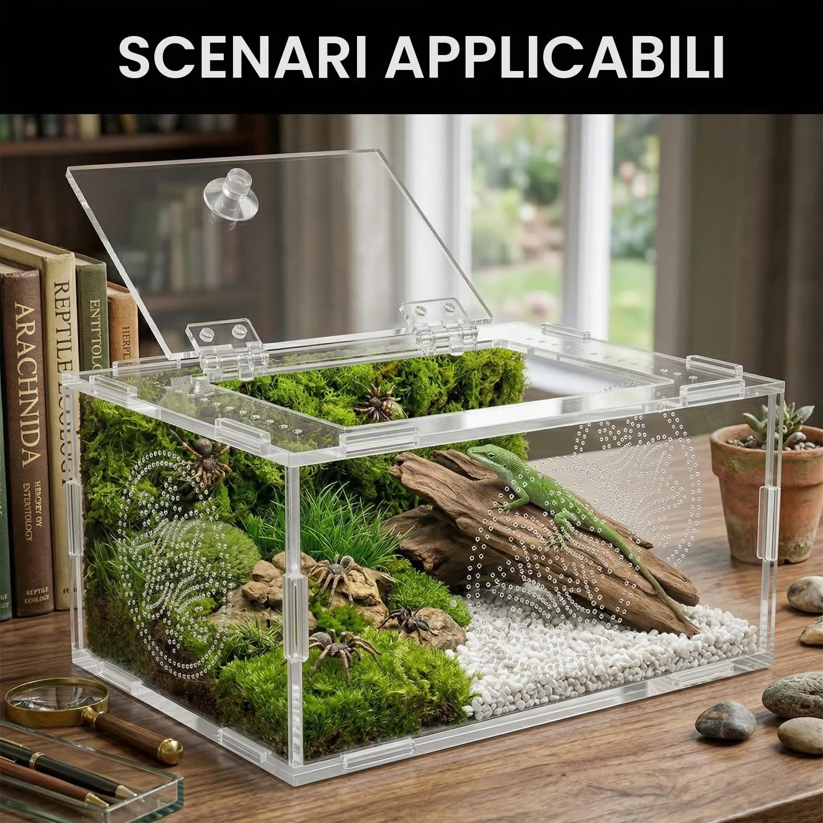 Terrario per Rettili, Terrario Tartarughe Terra, Terrario Trasparente Universale per Ragni, Lucertole, Rane, Coleotteri e Altri Rettili E Insetti, 20 x 15 x 10 cm - immagine 9