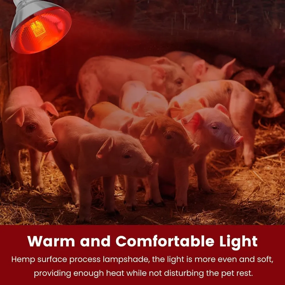Frogetu Lampada Infrarossi Riscaldante, 250W Reptile Lampada Riscaldantes, E27 Lampadina Riscaldante, Lampadas per Tartarughe di Terra, Reptile Heating Bulbs per Polli, Maiali, Tartarughe, Lucertole - immagine 4