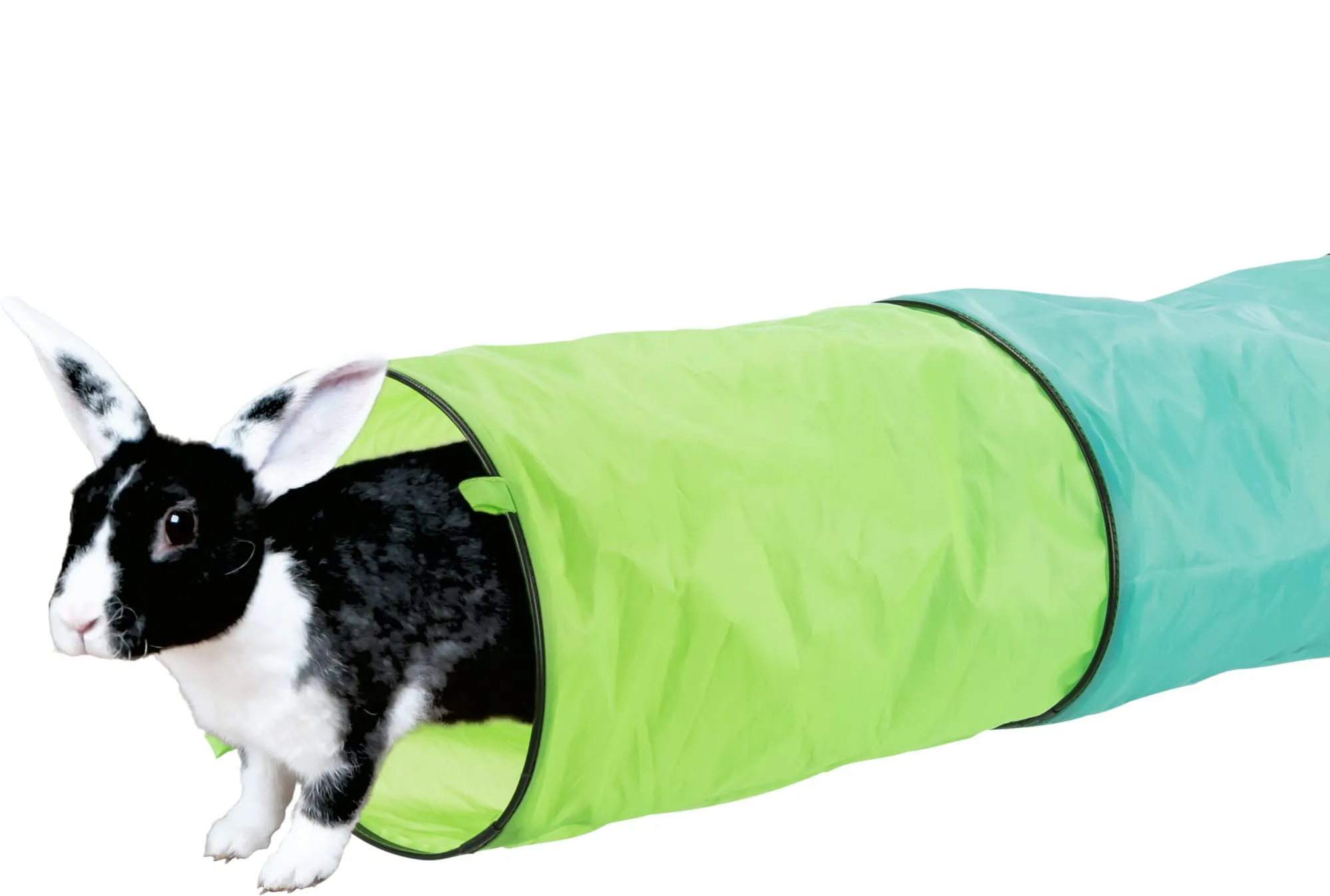 TRIXIE 6277 - Tunnel Giocattolo per Conigli, ø 18 × 130 cm, Colore: Antracite/Verde - immagine 6