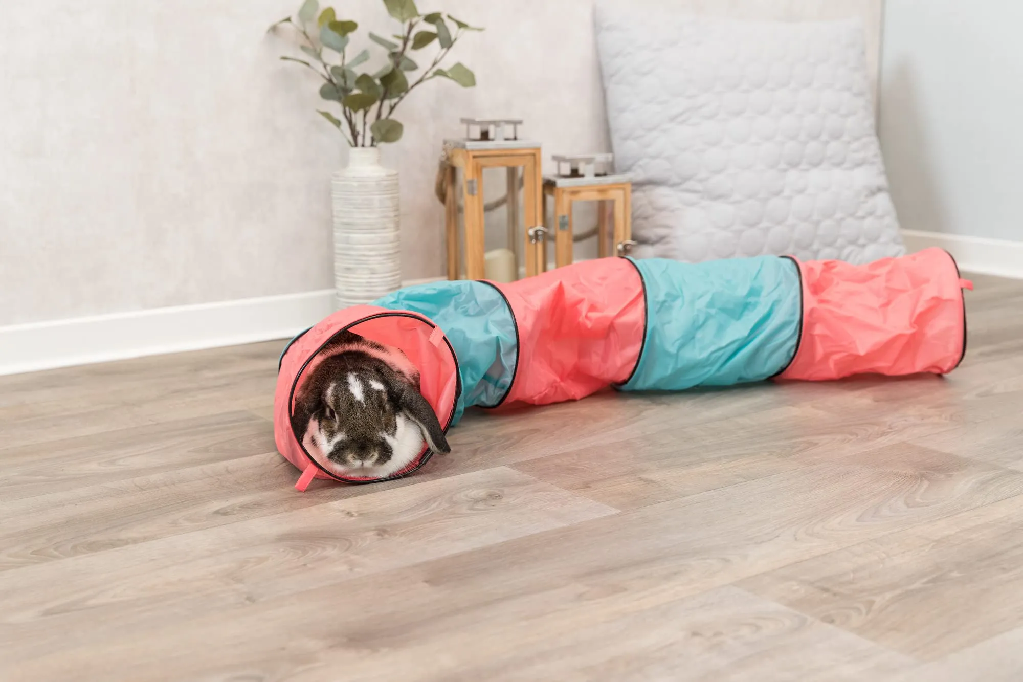 TRIXIE 6277 - Tunnel Giocattolo per Conigli, ø 18 × 130 cm, Colore: Antracite/Verde - immagine 8