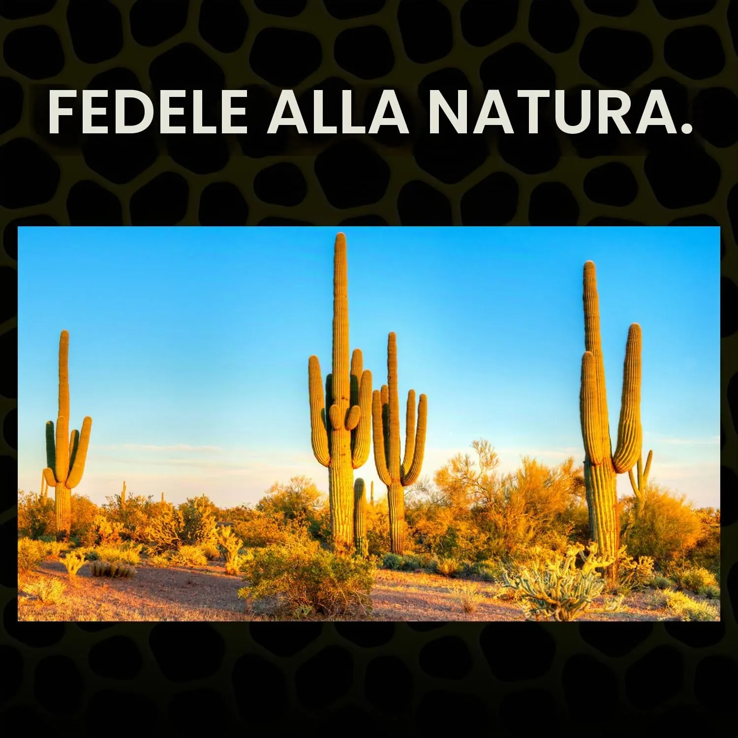 Exoterra Sabbia per Rettili 4,5kg - immagine 2