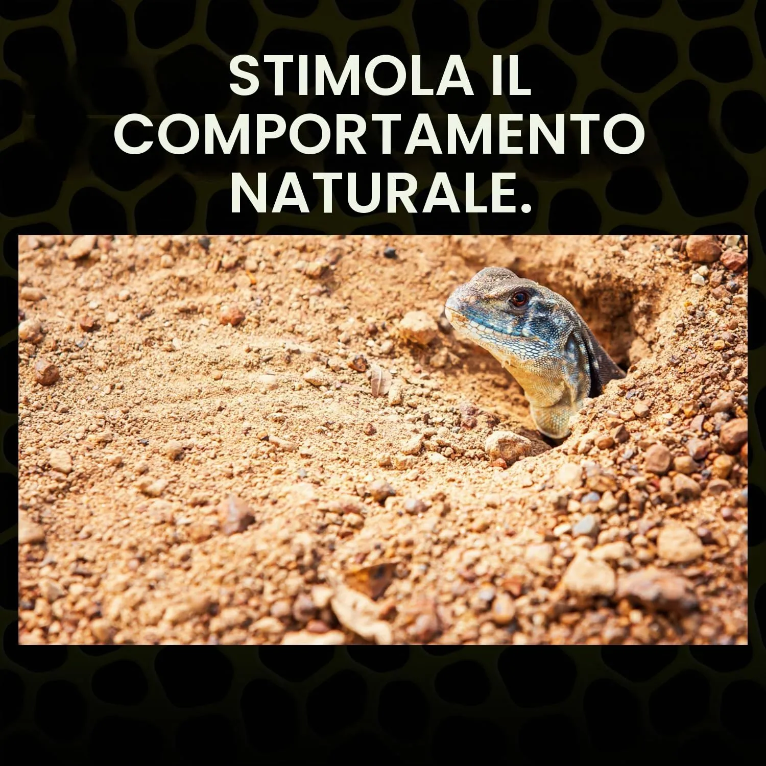 Exoterra Sabbia per Rettili 4,5kg - immagine 4