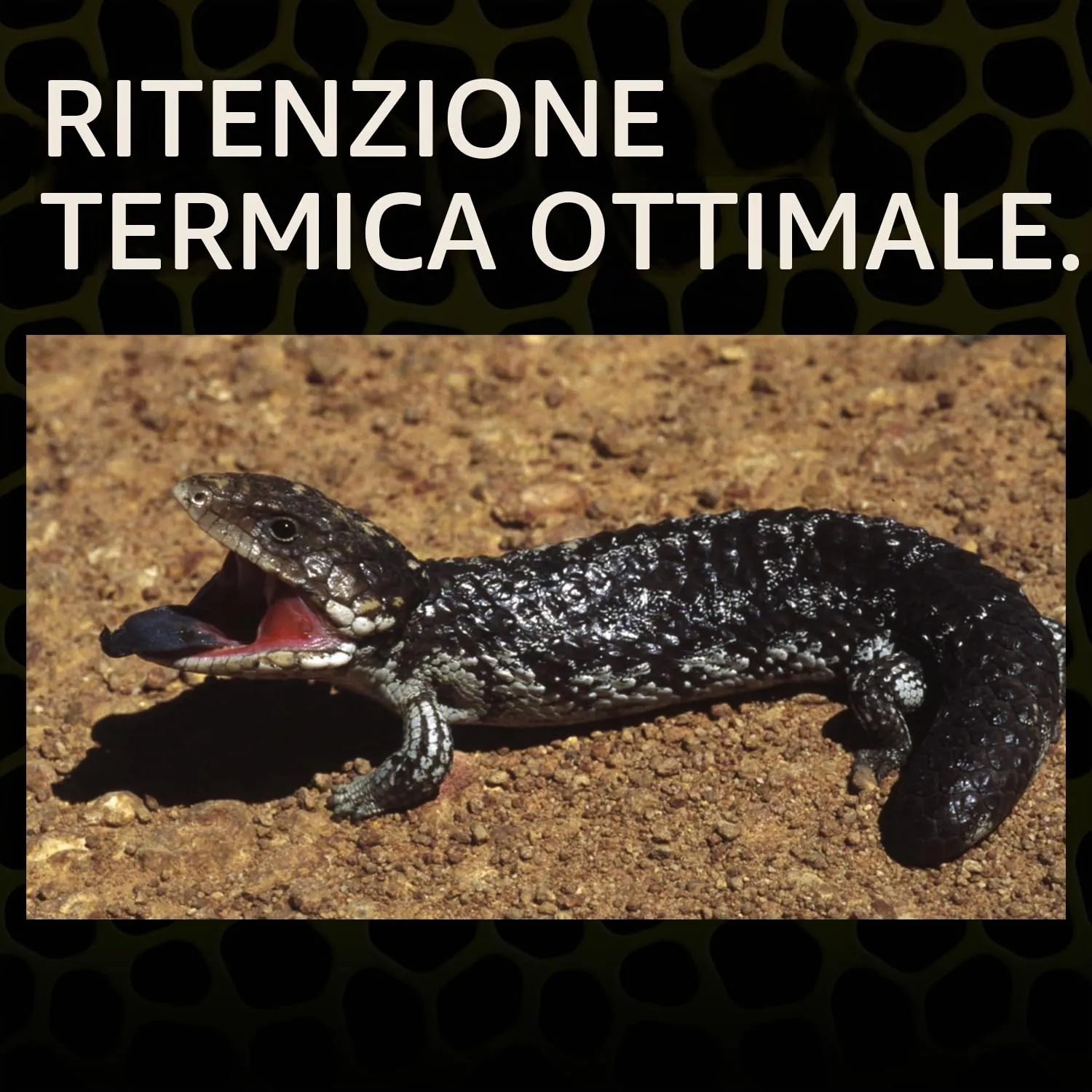 Exoterra Sabbia per Rettili 4,5kg - immagine 5