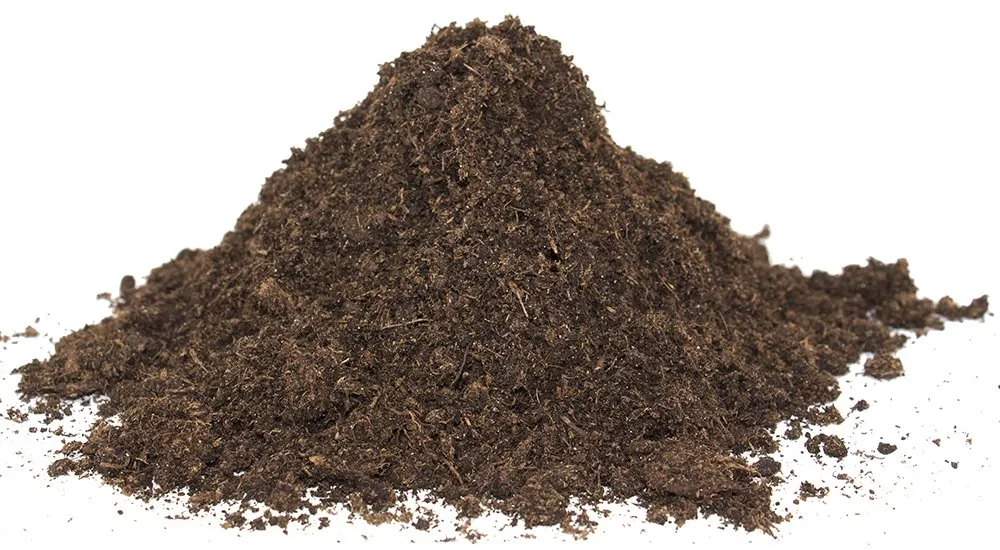 Floragard Tartaruga e substrato terrario 20 l, lettiera naturale per rettili - immagine 3