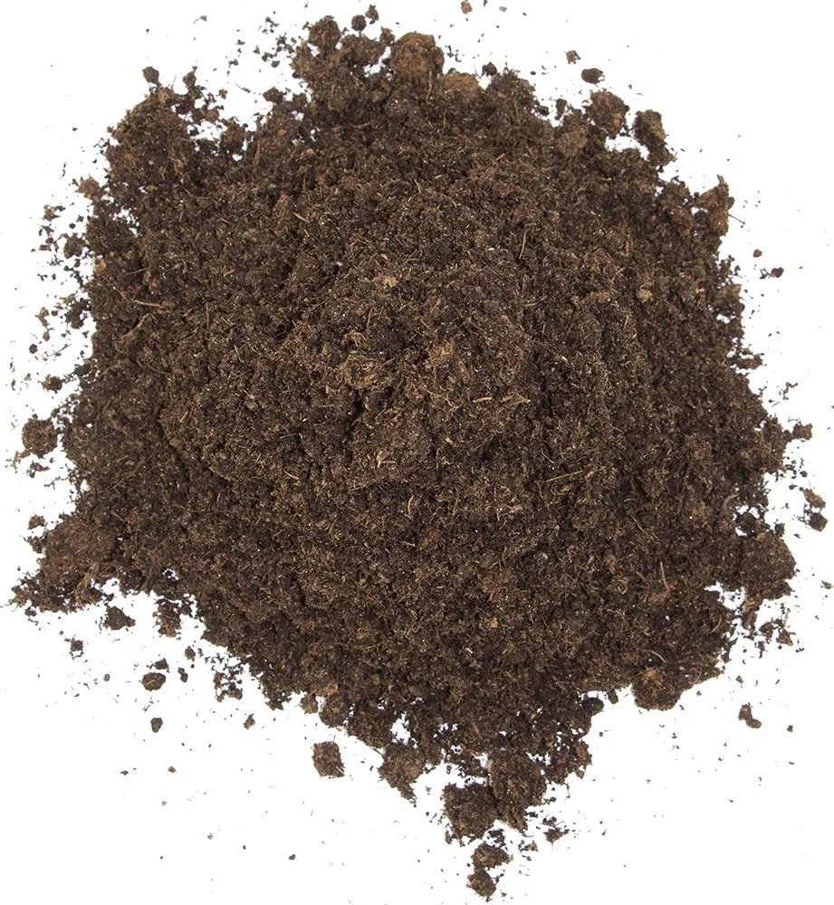 Floragard Tartaruga e substrato terrario 20 l, lettiera naturale per rettili - immagine 4