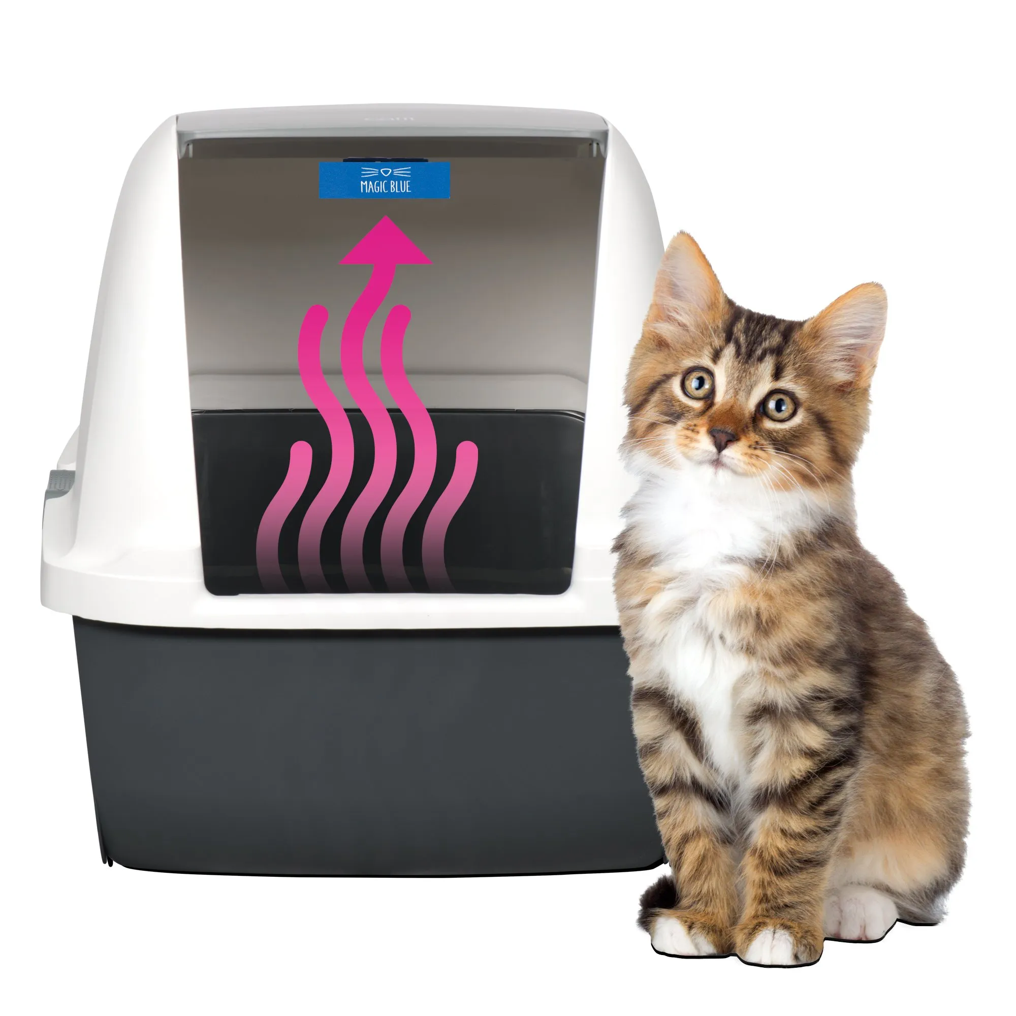 Catit Magic Blue Ammoniaca Buster – Riduce l'odore di urina e Gli odori per Una lettiera Fresca per Gatti - immagine 5