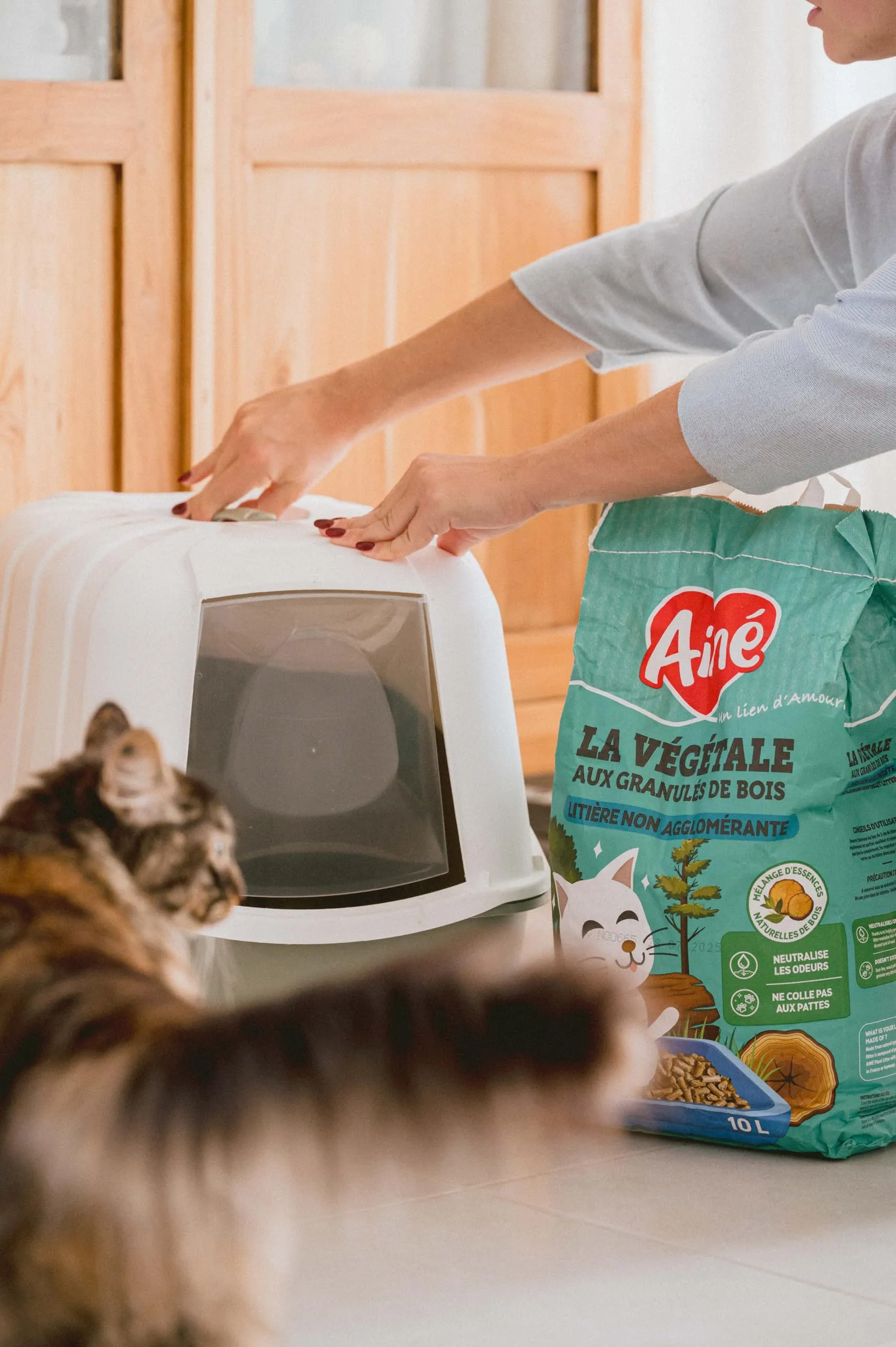 Aimé - Lettiera per gatti, 10 l, molto assorbente - immagine 2