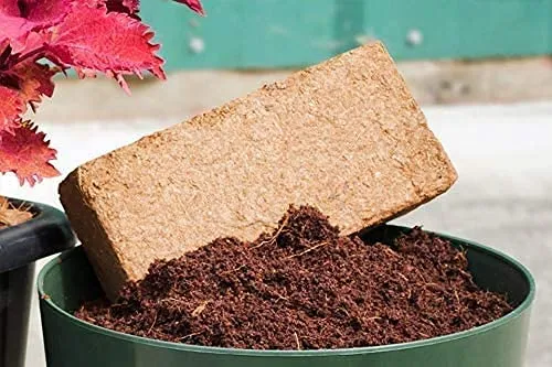 AlmaStore FIBRA DI COCCO 10 KG (2 X 5 Kg) | 70 LT | 100% Naturale | Substrato per terraio tartarughe o rettili | circa 5 kg/PZ | Blocchi per la coltivazione piante, fiori, ortaggi - immagine 4