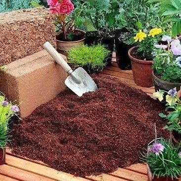 AlmaStore FIBRA DI COCCO 20 KG (4 X 5 Kg) | 70 LT | 100% Naturale | Substrato per terraio tartarughe o rettili | circa 5 kg/PZ | Blocchi per la coltivazione piante, fiori, ortaggi - immagine 6