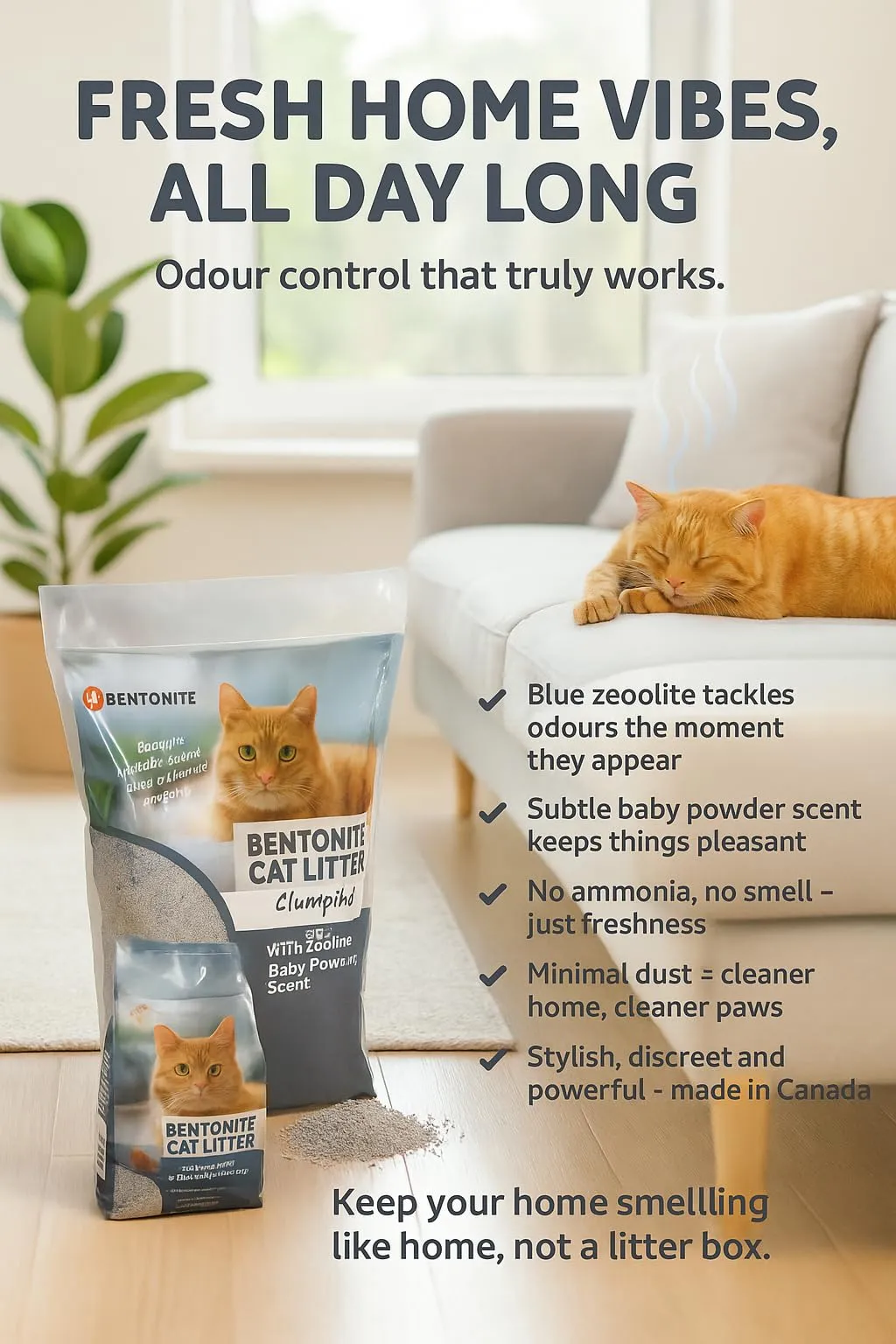 Flamingo Lettiera per gatti - lettiera agglomerante - Profumo di talco - 12L (12KG) per 10 settimane - Origine Canada - Zeolite blu - Ideale per 1 o più gatti - immagine 4