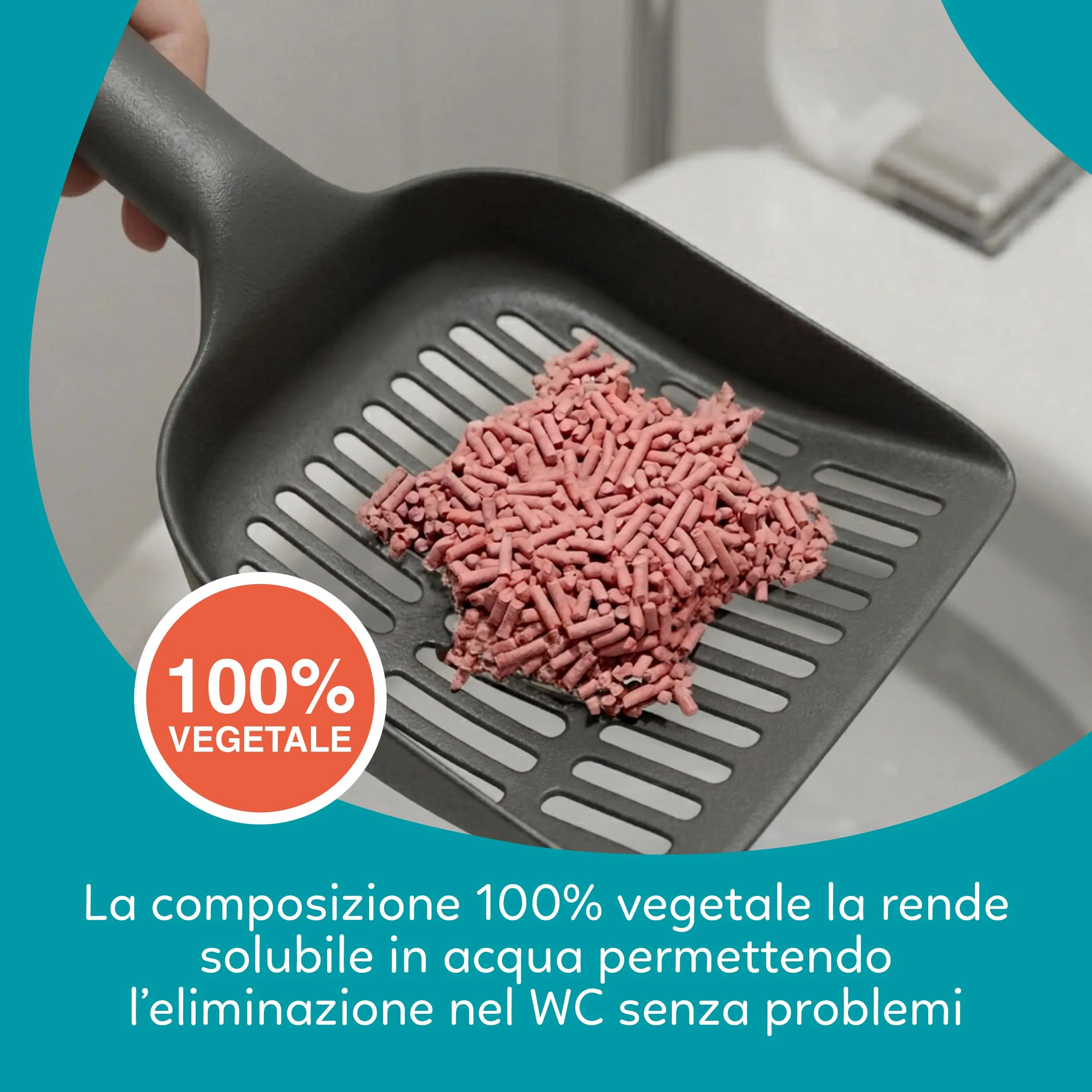 AQPET Friends CattyGreen Lettiera Vegetale Gatti 6 L, Profumo Pesca - immagine 4