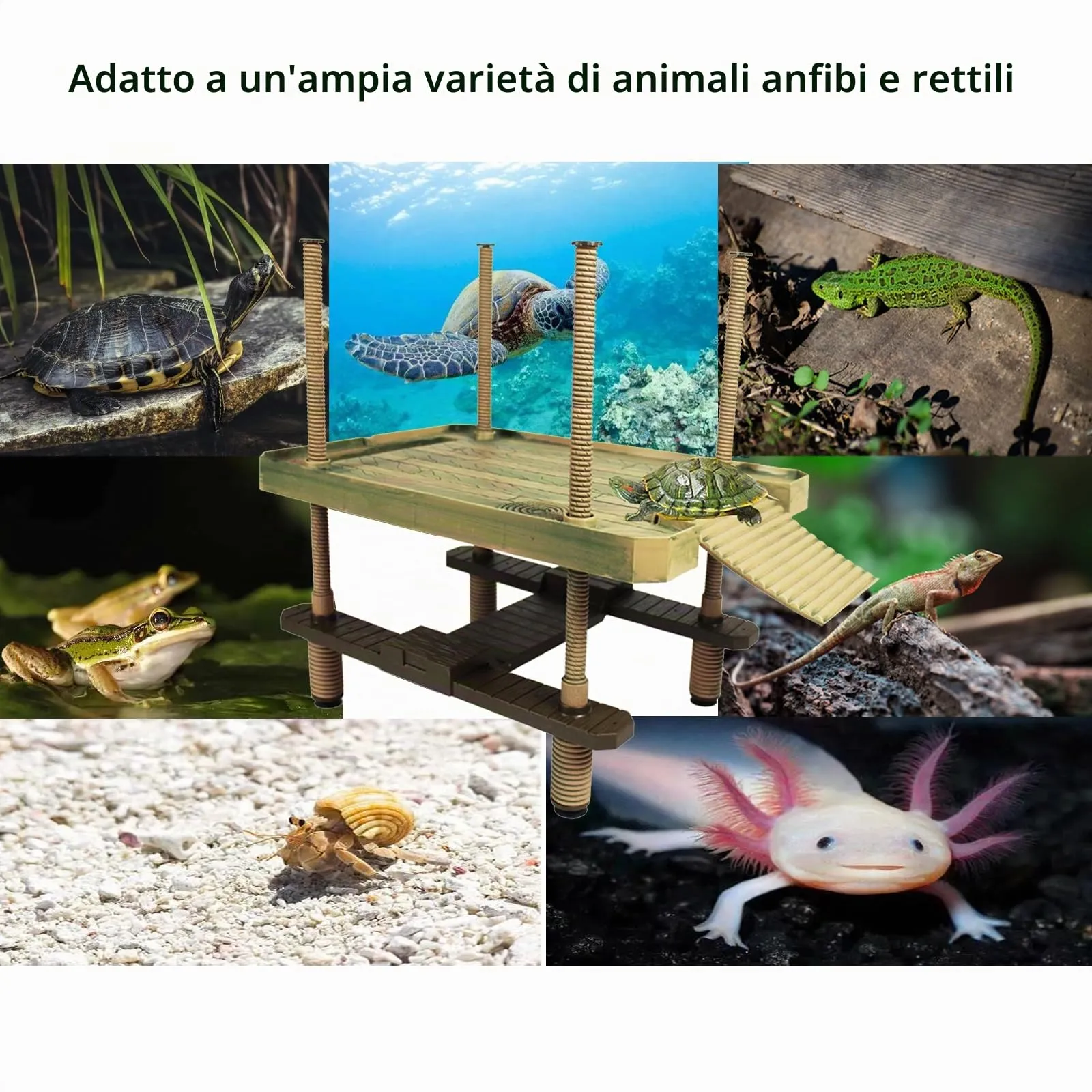 QeeHeng Piattaforma Galleggiante per Tartarughe, Piattaforma Galleggiante per Crogiolarsi, Piattaforma per Crogiolarsi per Tartarughe con Scala, Habitat per Tartarughe, Accessori per Acquari(Grande) - immagine 4