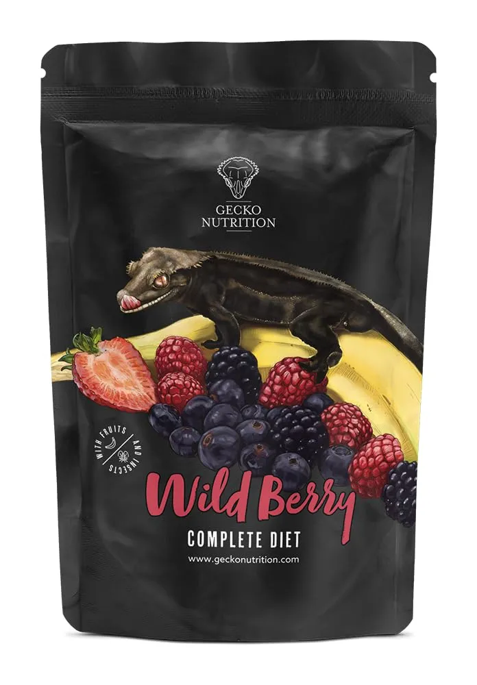 Alimento speciale per gecki (banana e frutta selvatica, 100 gr) - immagine 1