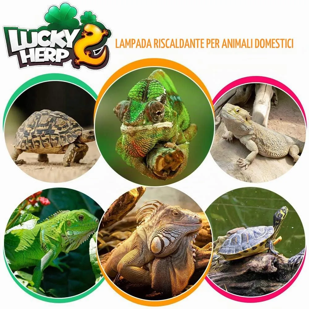 LUCKY HERP UVA UVB Lampada riscaldante per terrario, E27 Lampada UVB per rettili Terrario 125W, D3 UV Lampada Spot per riscaldamento per tartaruga, barbato, lucertola, geco - immagine 6
