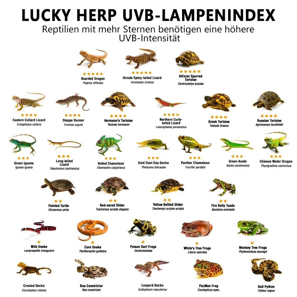 LUCKY HERP UVA UVB Lampada riscaldante per terrario, E27 Lampada UVB per rettili Terrario 125W, D3 UV Lampada Spot per riscaldamento per tartaruga, barbato, lucertola, geco - immagine 7