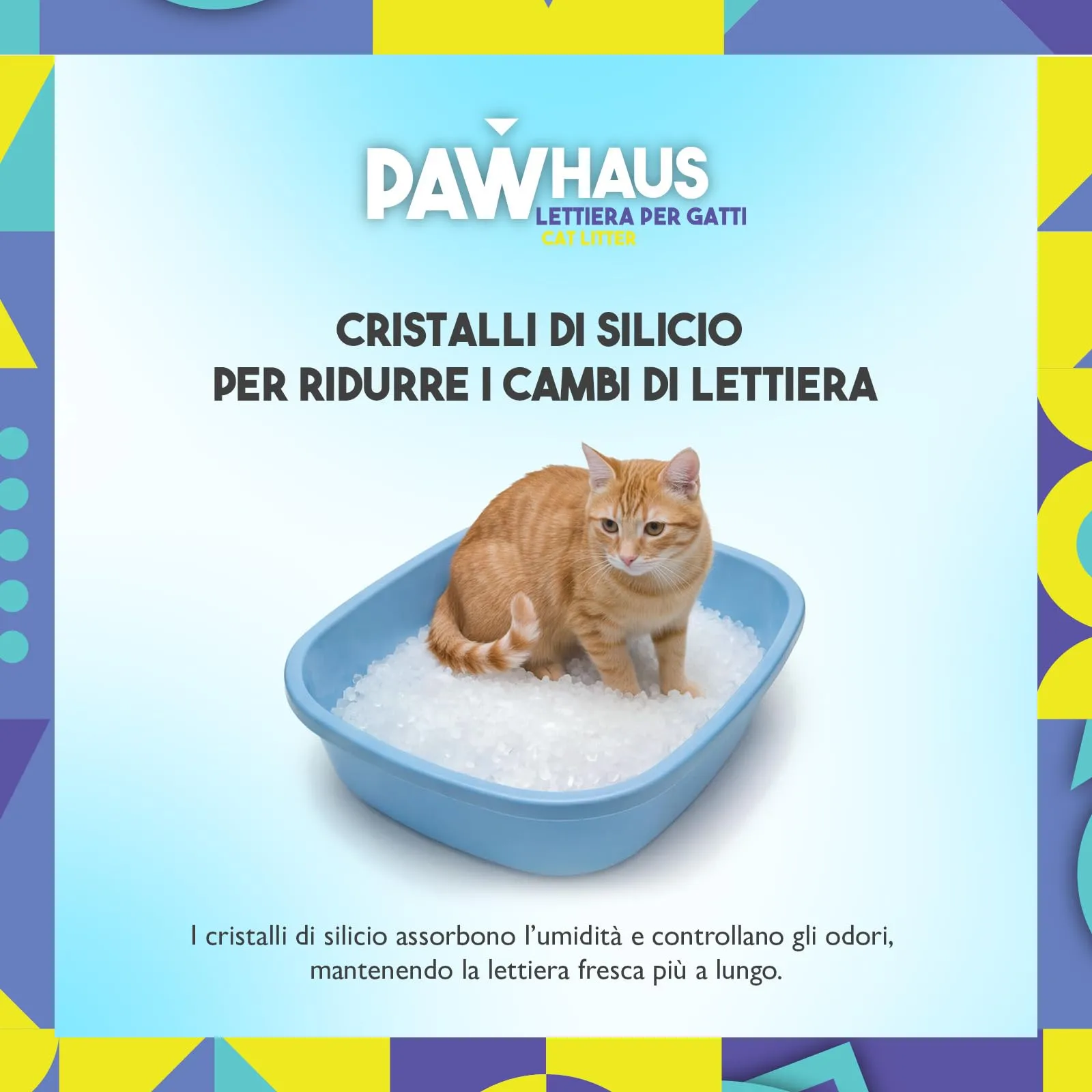 PawHaus 3.8L Lettiera in Cristalli di Silicio per Gatti - immagine 5