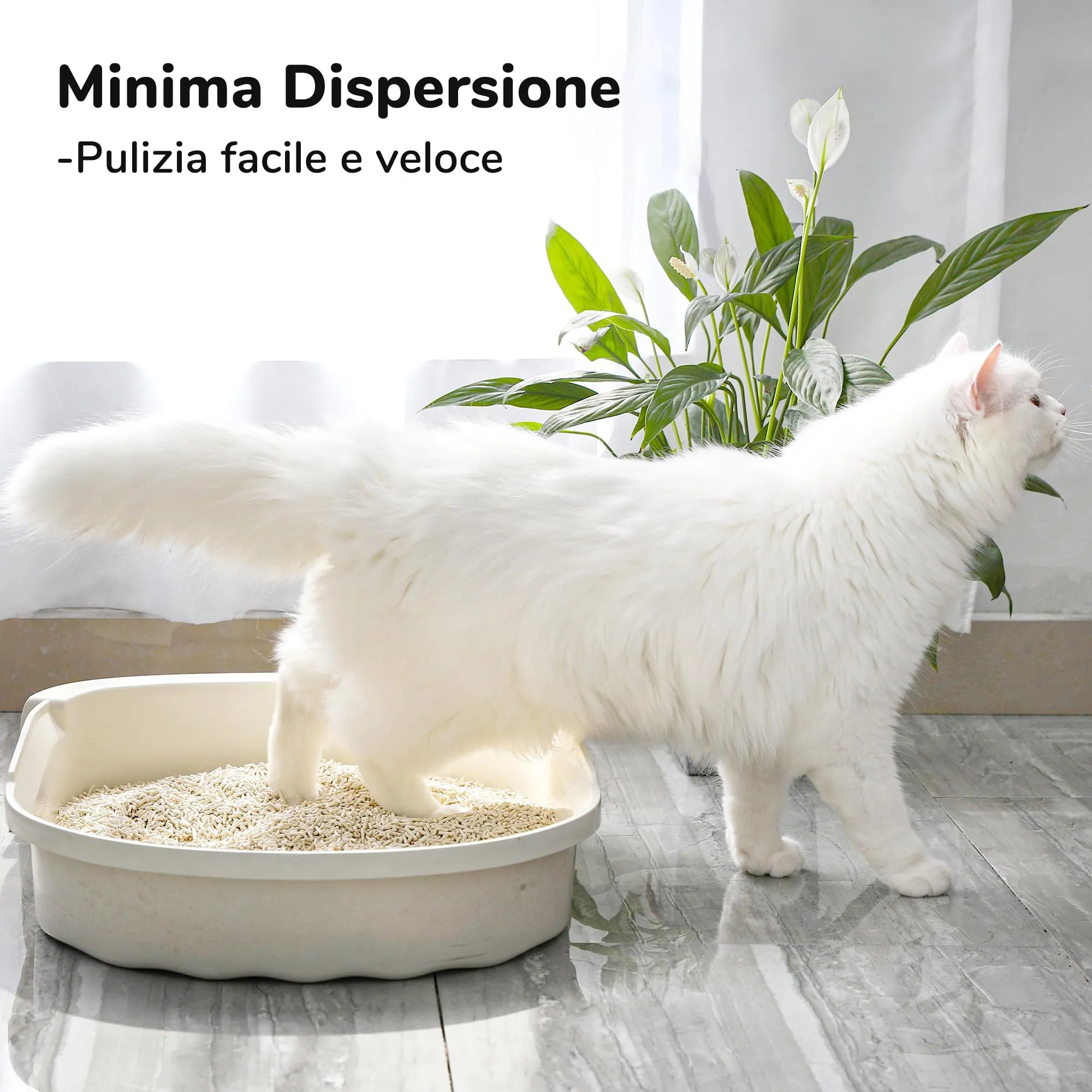 FUKUMARU Lettiera per Gatti al Tofu- 24L / 10,8kg, Lettiera Agglomerante Naturale di Mais e Carbone Attivo, Biodegradabile, Profuma di Tè, Controllo Efficace degli Odori, Senza Polvere - immagine 4