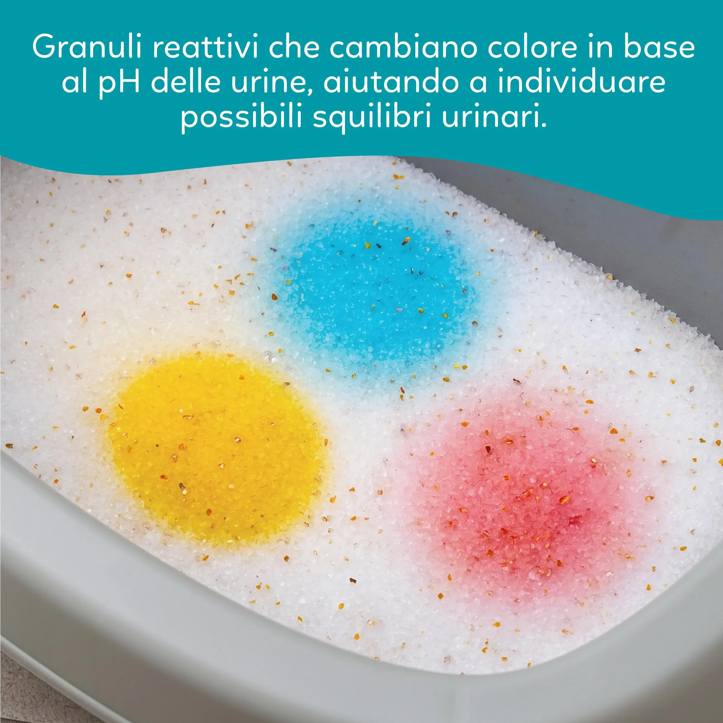 AQPET Catty Pure+ Lettiera per Gatti al Silicio 30 L (6x5 L), Check-pH - immagine 7