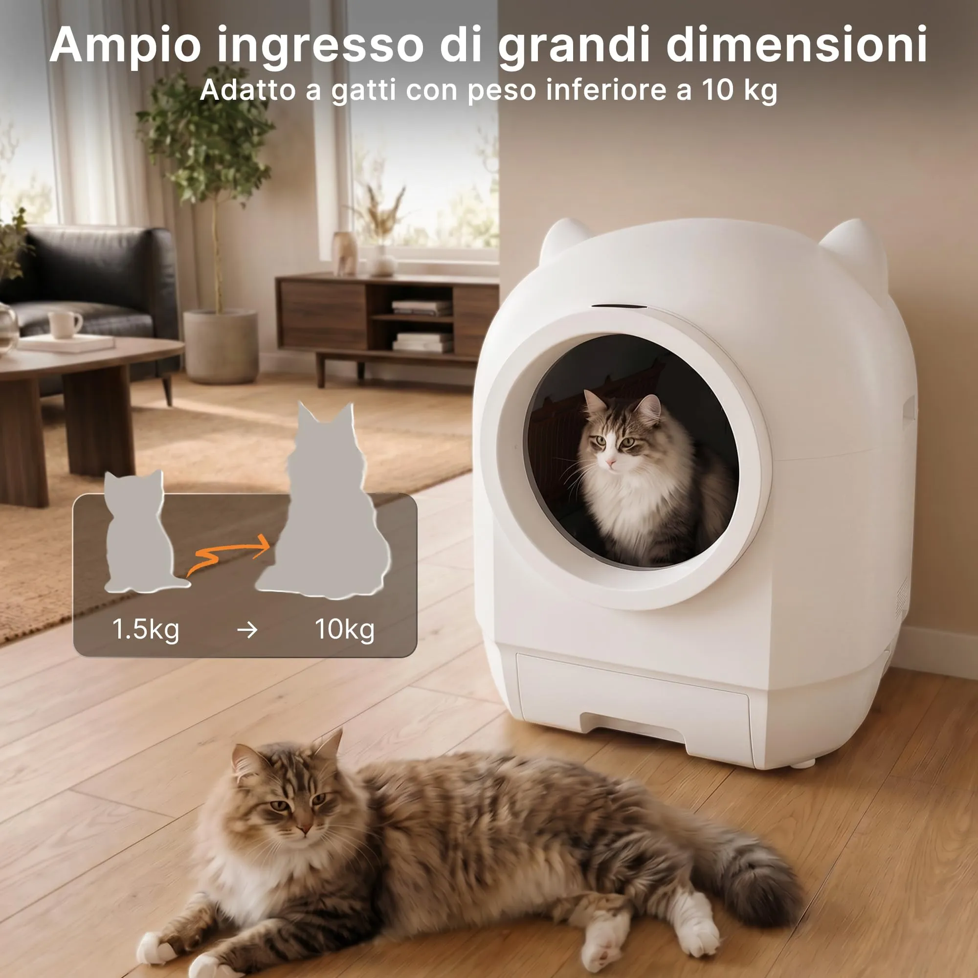 Devoko Lettiera Gatto Autopulente con APP, Lettiera Autopulente per Gatti - immagine 5