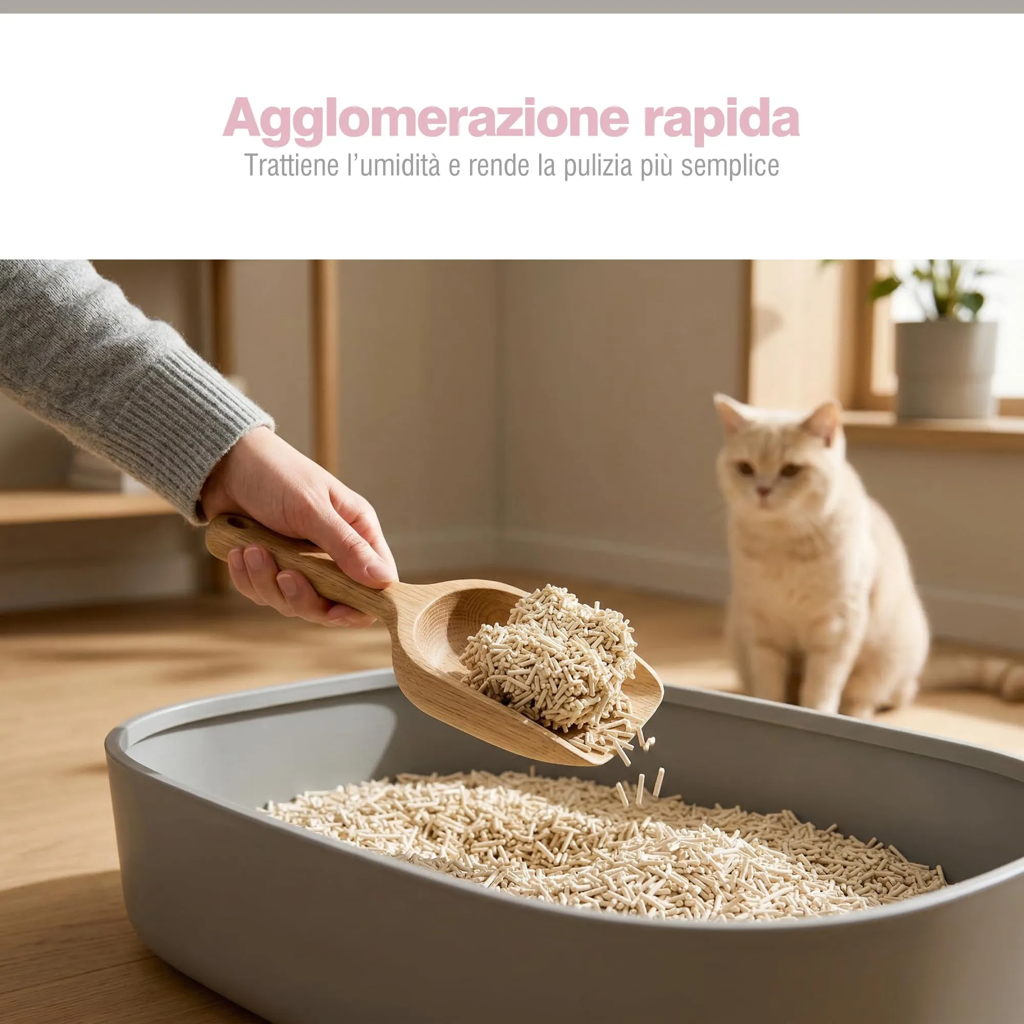PORTENTUM Sabbia lettiera gatto agglomerante lettiera tofu 12 L senza profumo – Controllo degli odori e pulizia facile – Pellet vegetali che non si attaccano e mantengono il vassoio pulito - immagine 4