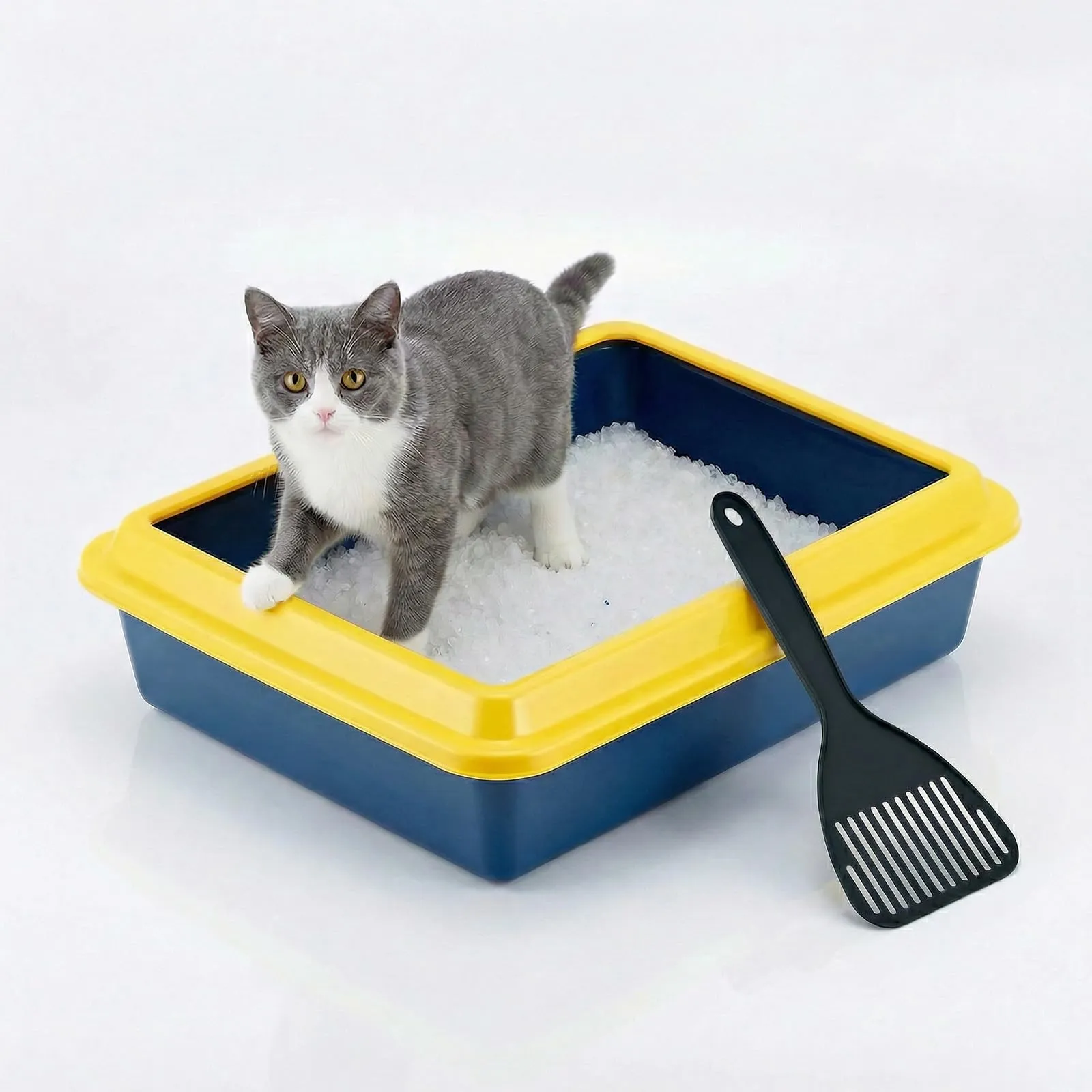 Animal House Lettiera per Gatti Con Bordo, Vaschetta L - immagine 1