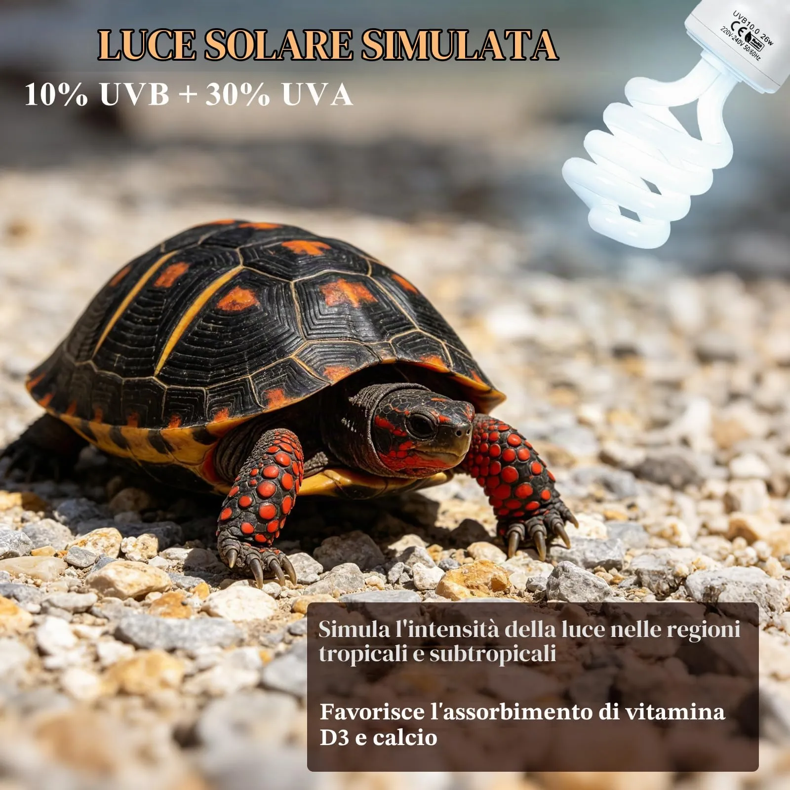 LALAGO 26W UVB 10,0 Lampada UVB per Terrario, Lampadina UVA/UVB per Rettili - immagine 6