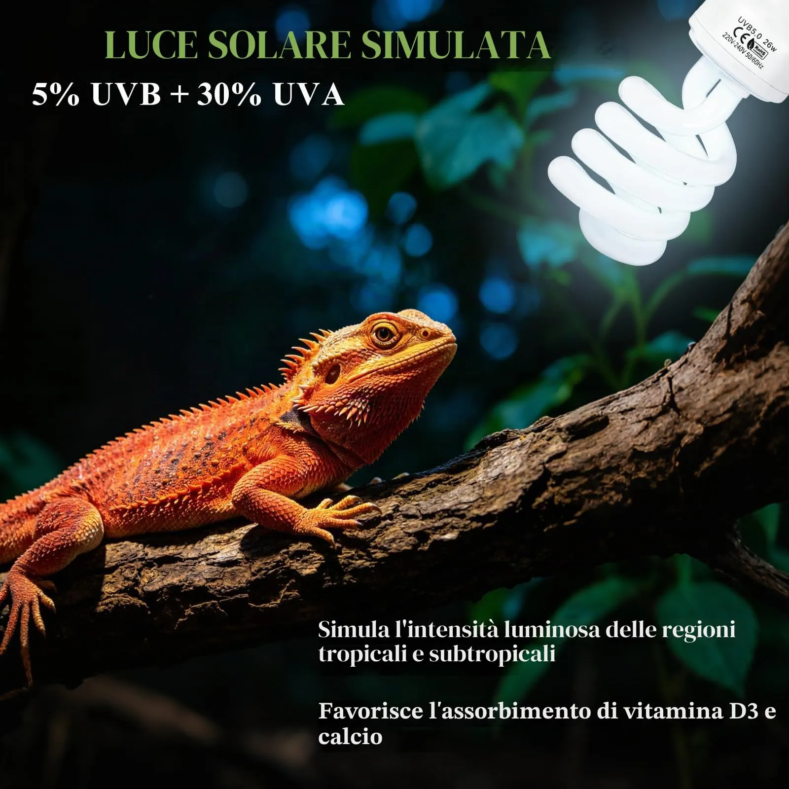 LALAGO 26W UVB 5,0 Lampadina per Rettili, E27 Lampade UVA/UVB per Terrari - immagine 4