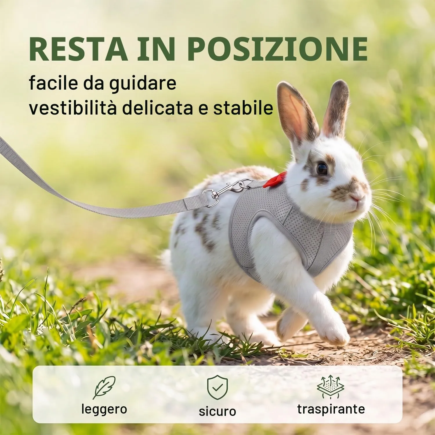 Pettorina Coniglio Nano con Guinzaglio, Pettorina Gatto Taglia Piccola Regolabile, Set Accessori per Conigli, Gattini e Piccoli Animali, Traspirante e Sicura, Grigio Siderale, Taglia S - immagine 4