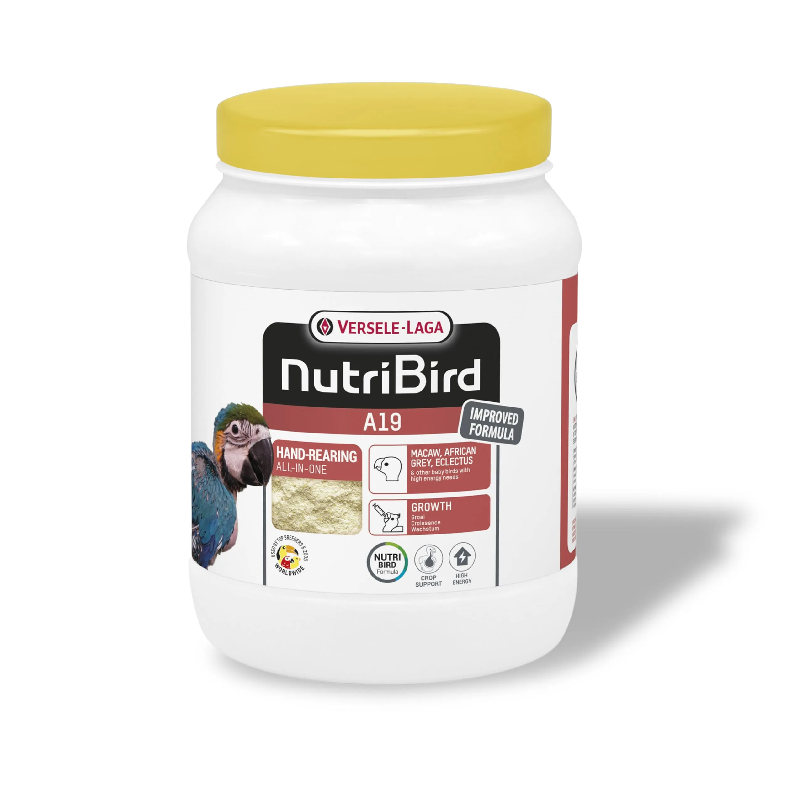 VERSELE-LAGA - NutriBird A19 - Pappa da imbecco alla Mano per Piccoli di Pappagallo - Ara, cenerini ed ecletto - Energia - 800g - immagine 1