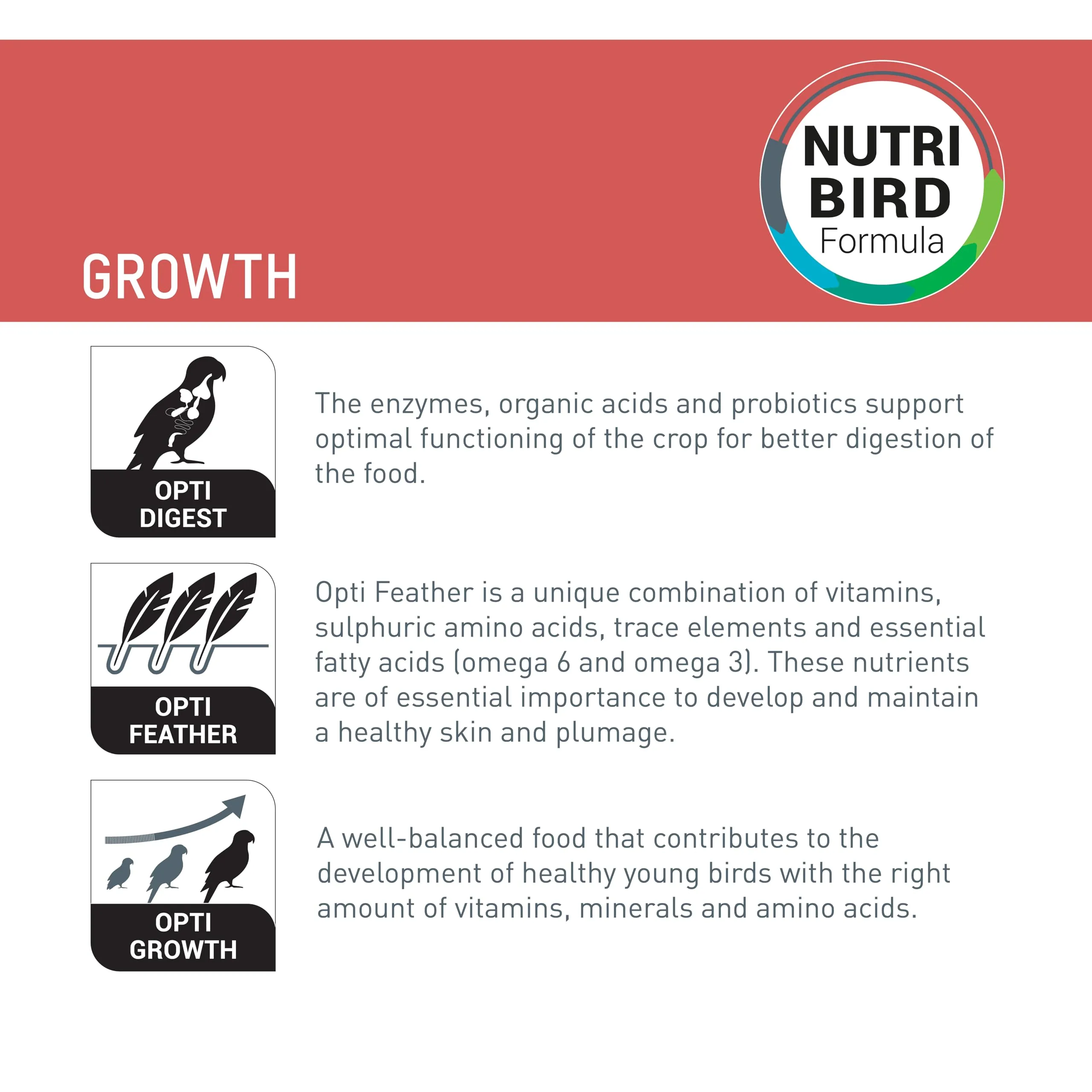 VERSELE-LAGA - NutriBird A19 - Pappa da imbecco alla Mano per Piccoli di Pappagallo - Ara, cenerini ed ecletto - Energia - 800g - immagine 2
