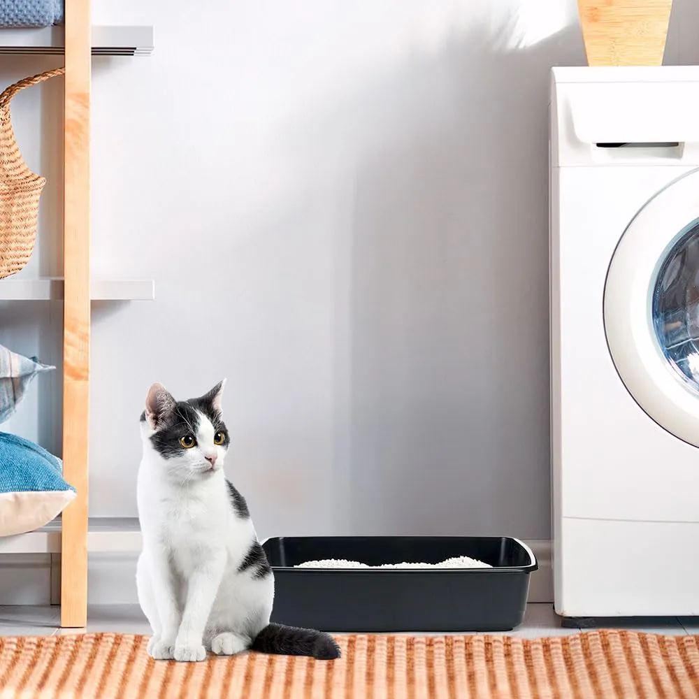 Ferplast Lettiera Gatto, Toilette per Gatti Grandi, in Plastica con Bordi Alti, Facile e Veloce da Pulire L 46,5 x W 35,5 x H 11,5 cm, Vari Colori - immagine 3