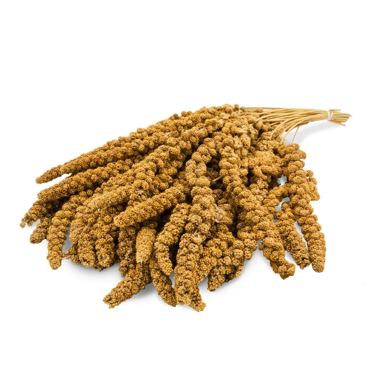 JR FARM Birds miglio pallone giallo 1 kg - immagine 2