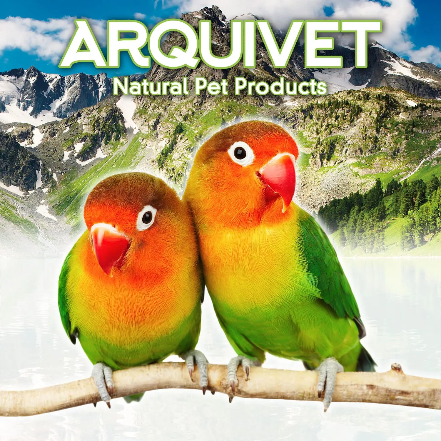 Arquivet Calce per pappagalli 20g - Blocco Minerale con YODO per Uccelli - Integratore Alimentare per Tutti Gli Uccelli Domestici - Accessori per Uccelli - immagine 2
